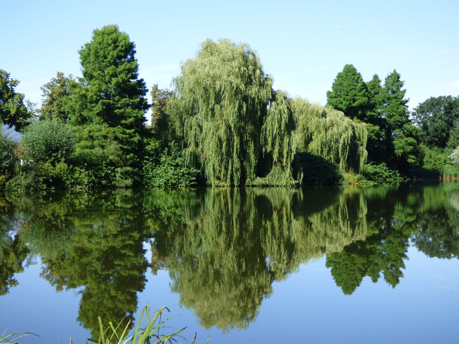 Panasonic DMC-FZ72 sample photo. Lake, mirroring, pond photography