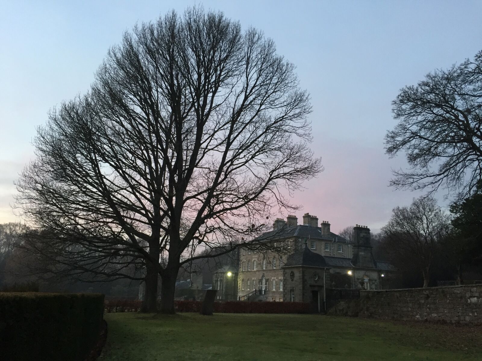 Apple iPhone 6 sample photo. Tree, pollok, house photography
