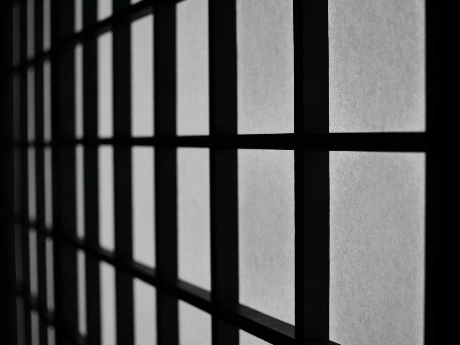 Panasonic Lumix DMC-GX7 sample photo. Bran, shoji, japanese paper photography