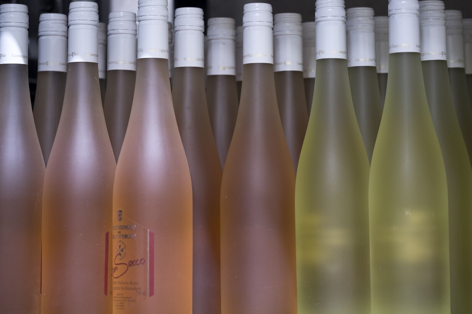 Fujifilm X-T2 + Fujifilm XF 80mm F2.8 R LM OIS WR Macro sample photo. Wine, champagne, wine bottles photography
