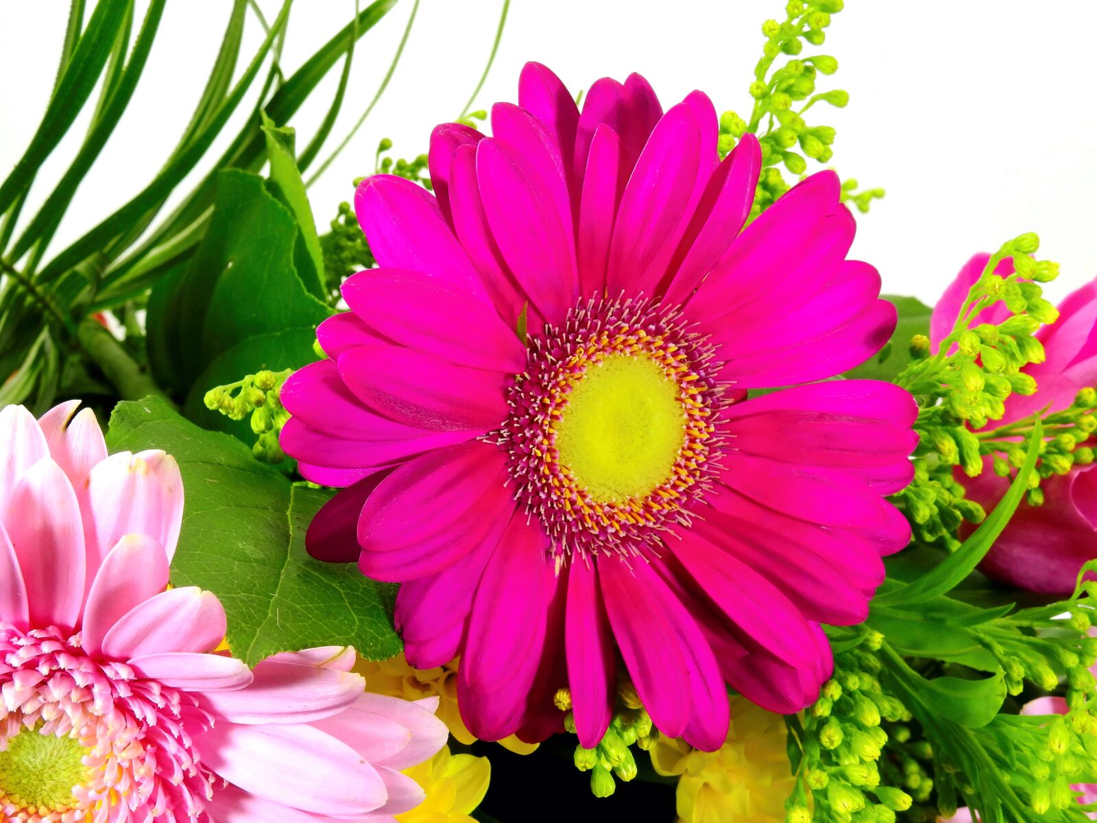 Nikon Coolpix P900 sample photo. Bouquet of flowers, bouquet photography