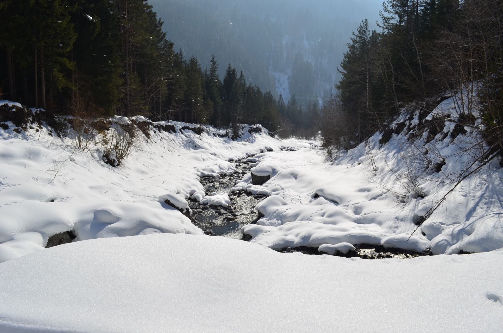 Nikon D5100 sample photo. Winter, bach, wintry photography
