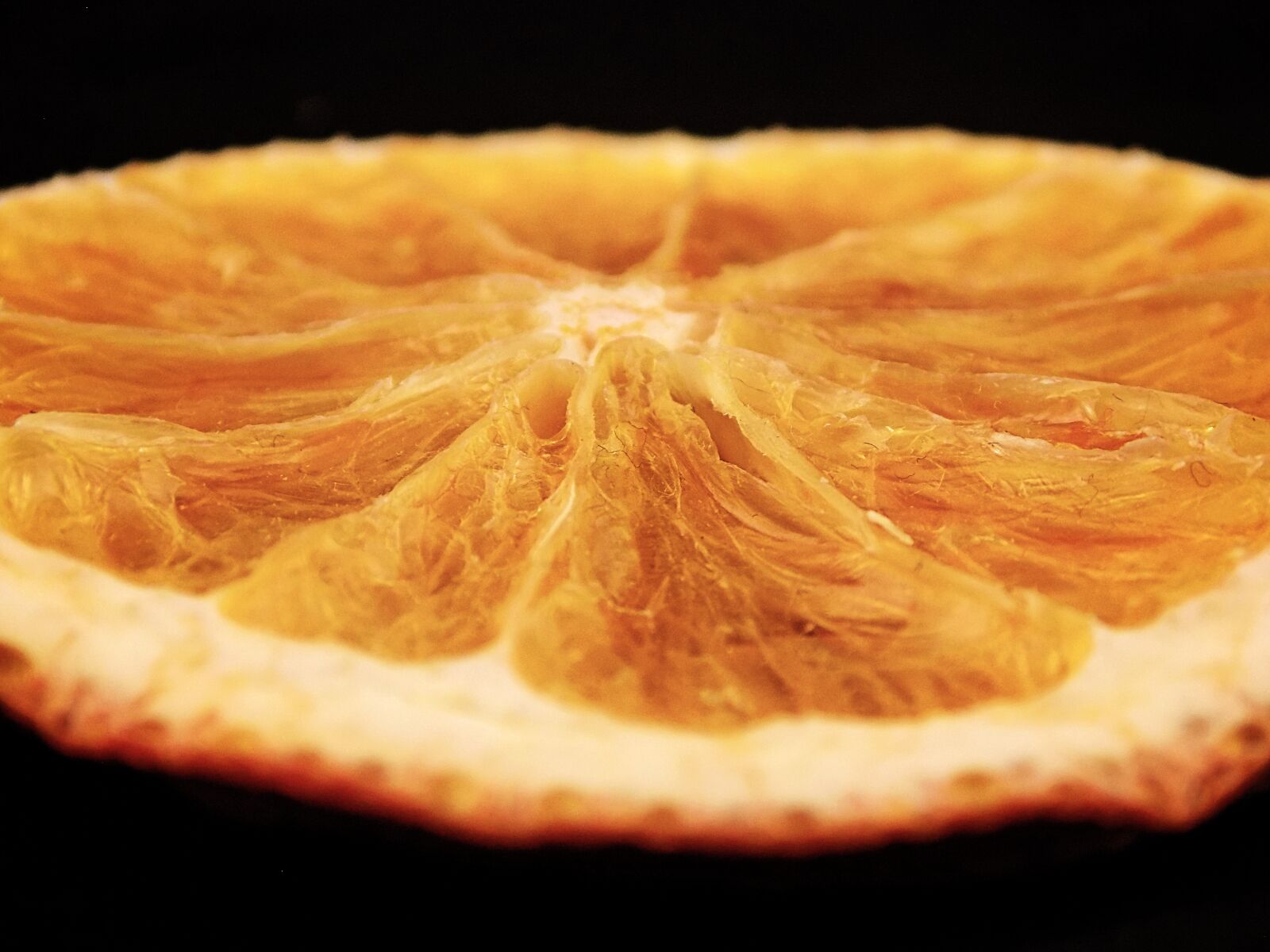 Nikon COOLPIX L340 sample photo. Orange, focus, nature photography