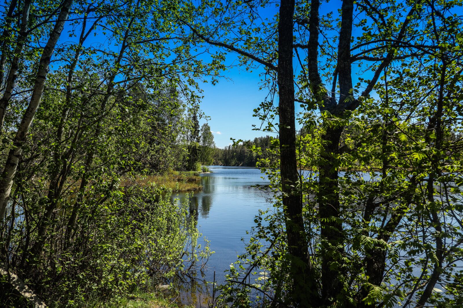 Canon EOS R sample photo. Water, lake, reflection photography