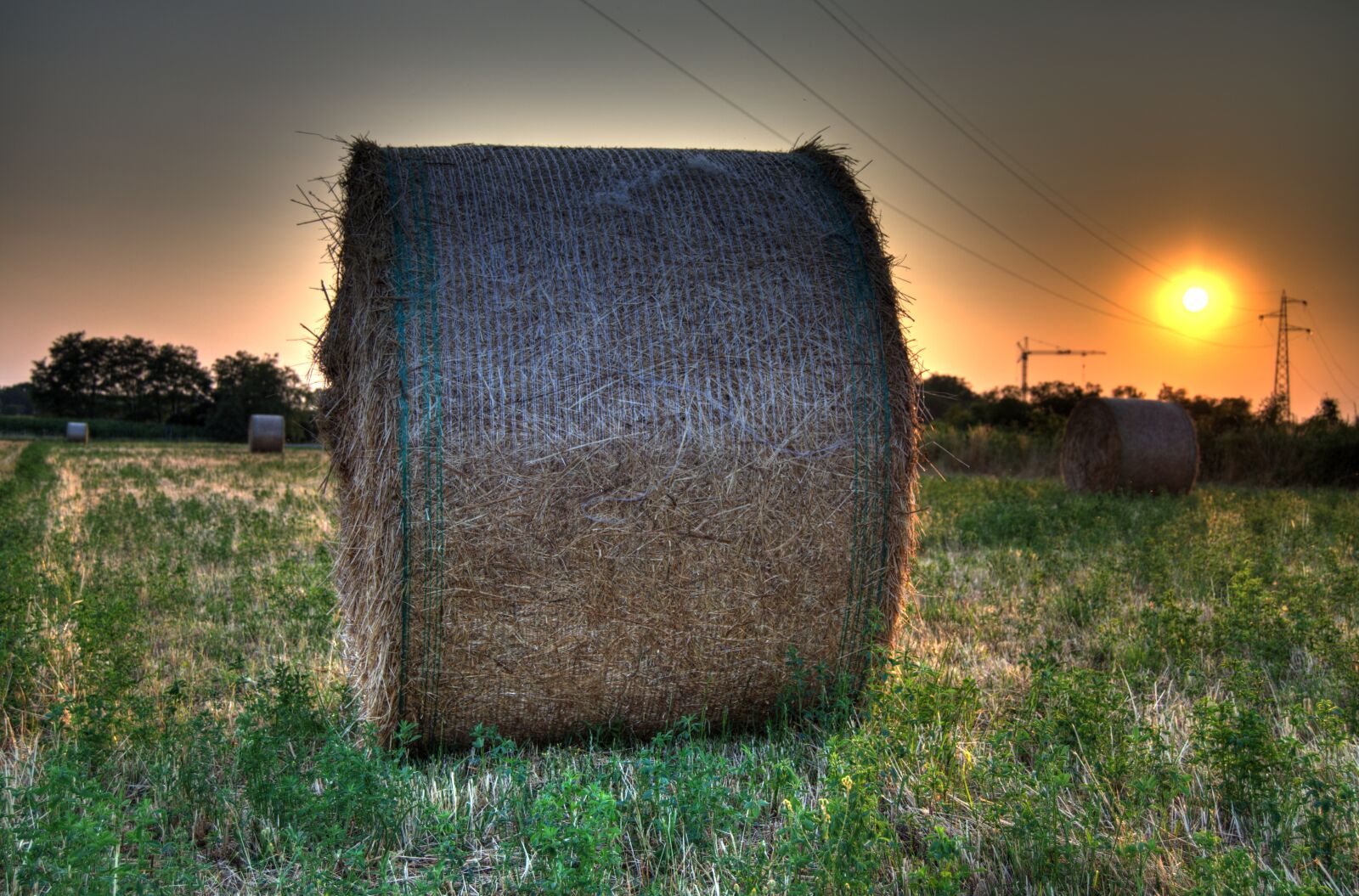Nikon D5100 sample photo. Sunset, backlight, bale photography