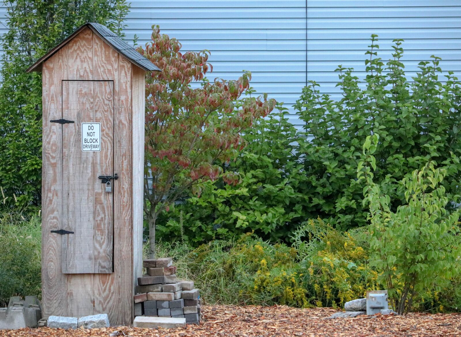 Canon EF-S 55-250mm F4-5.6 IS STM sample photo. Out house, bushes, summer photography