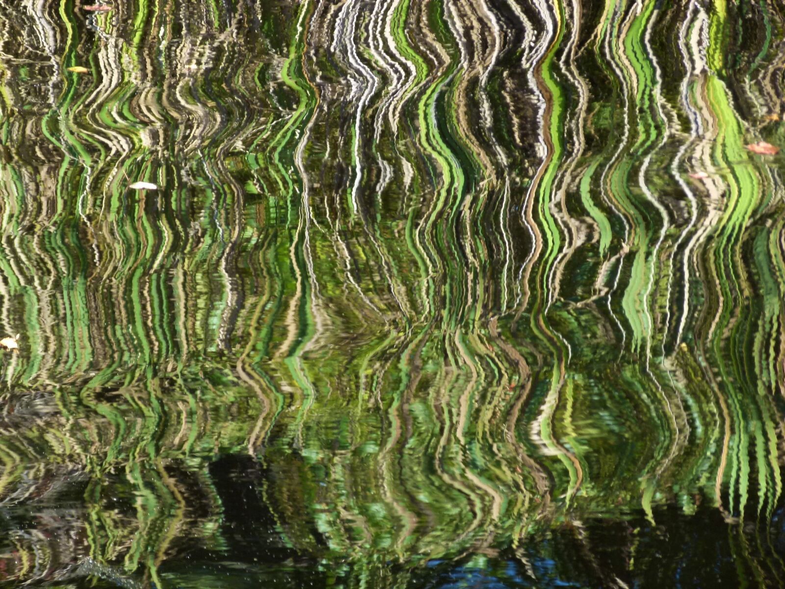 Panasonic Lumix DMC-FZ100 sample photo. Reflection, distortion, distorted photography