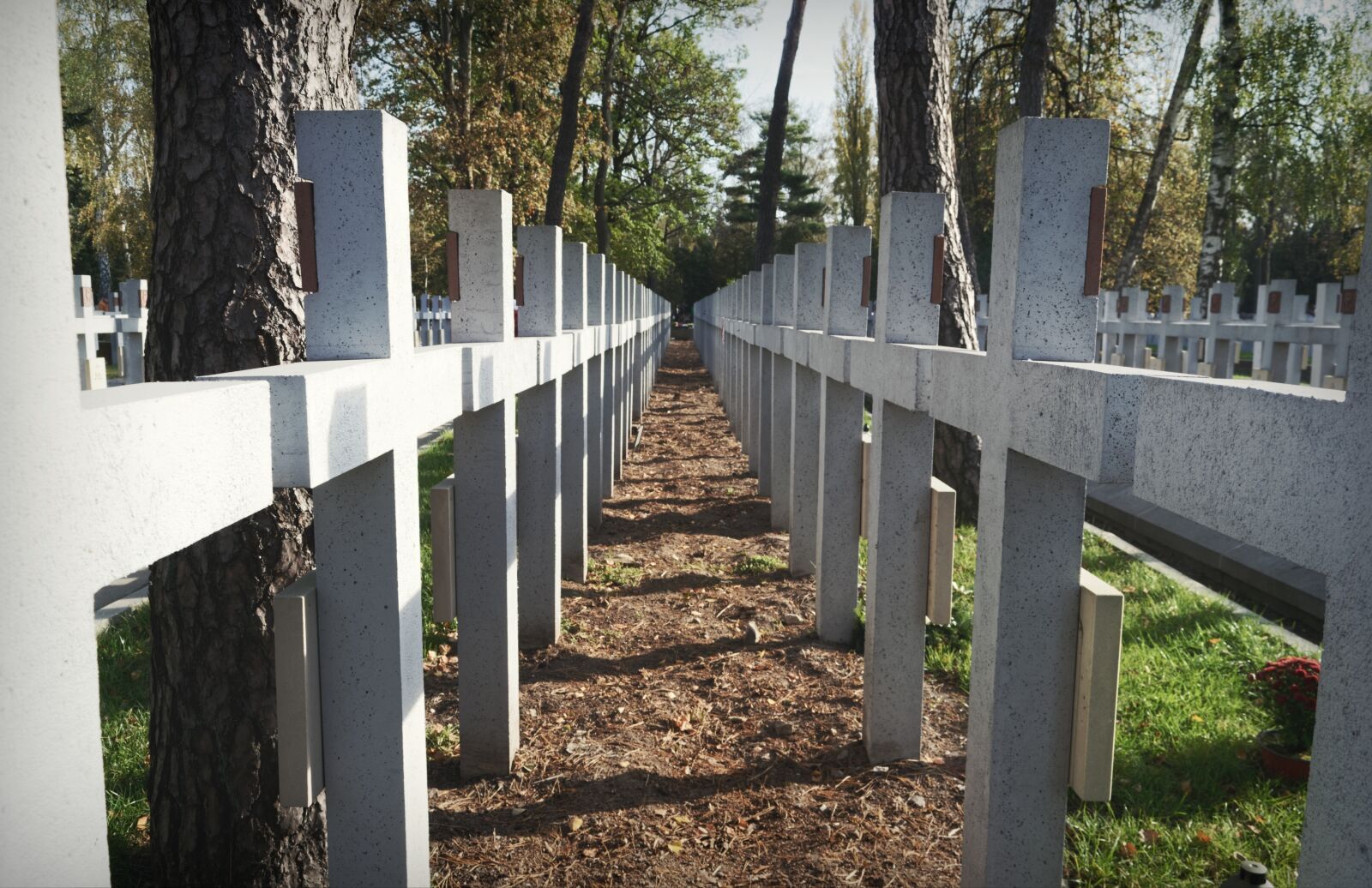 Nikon D3100 sample photo. Graves, cross, lined up photography