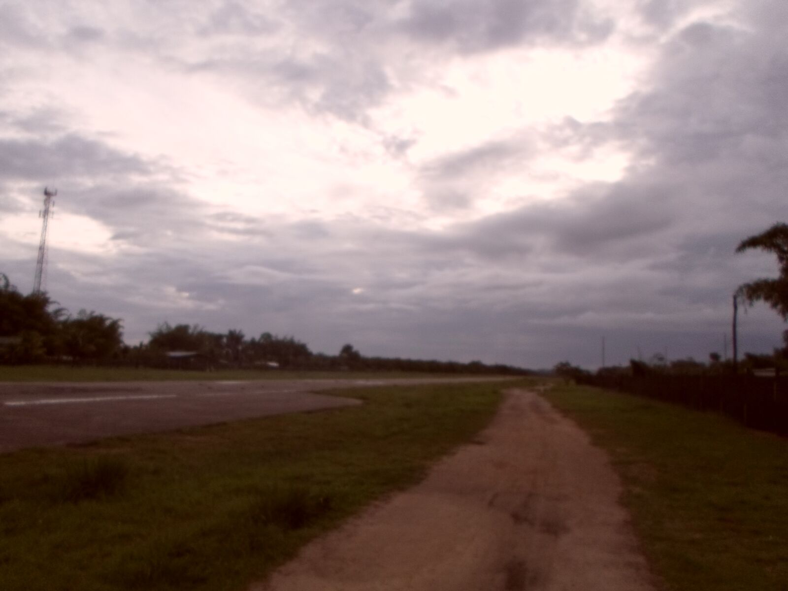 Samsung ES95 sample photo. Path, sky, green photography