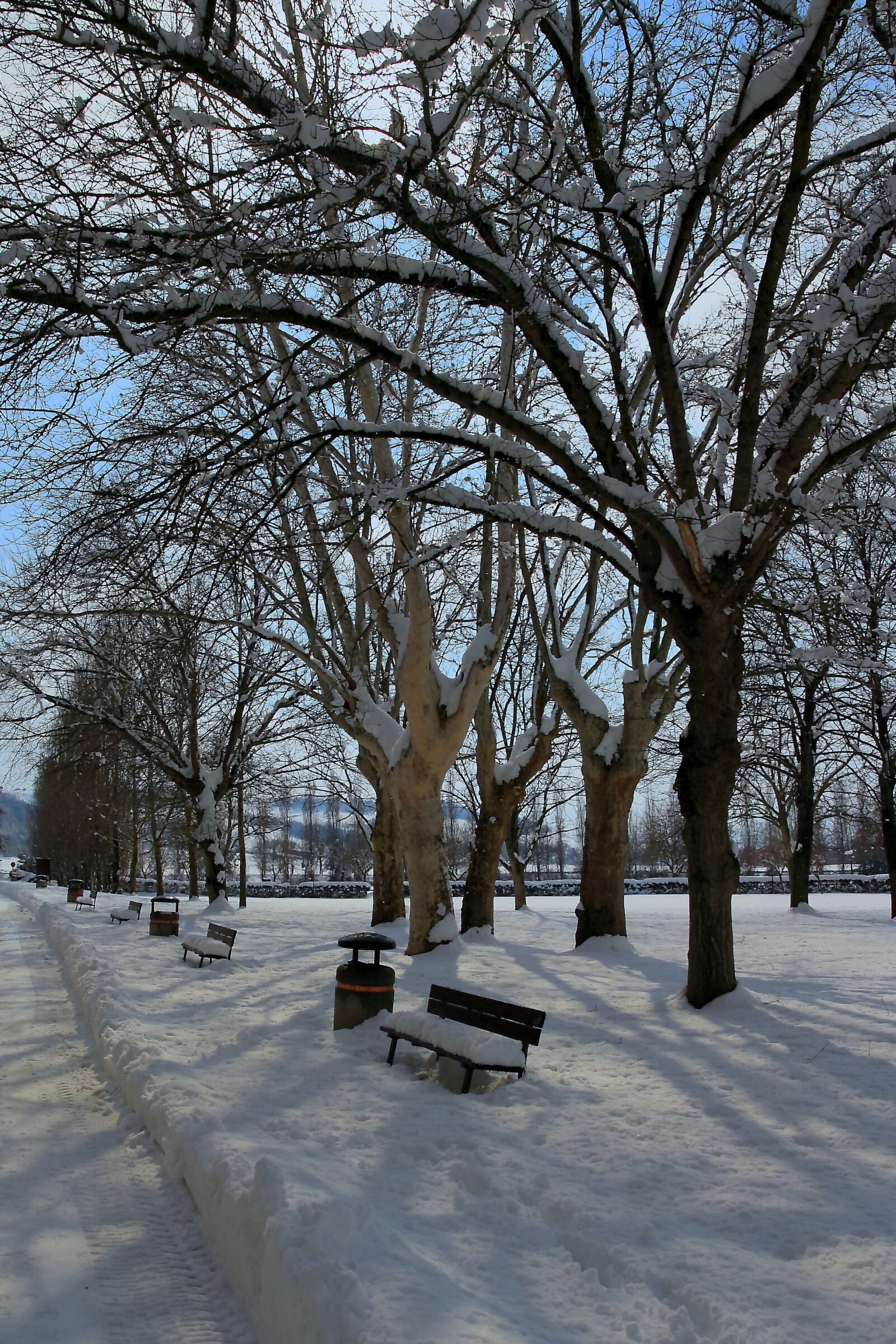 Canon EOS 1000D (EOS Digital Rebel XS / EOS Kiss F) sample photo. Snow, winter, nature photography