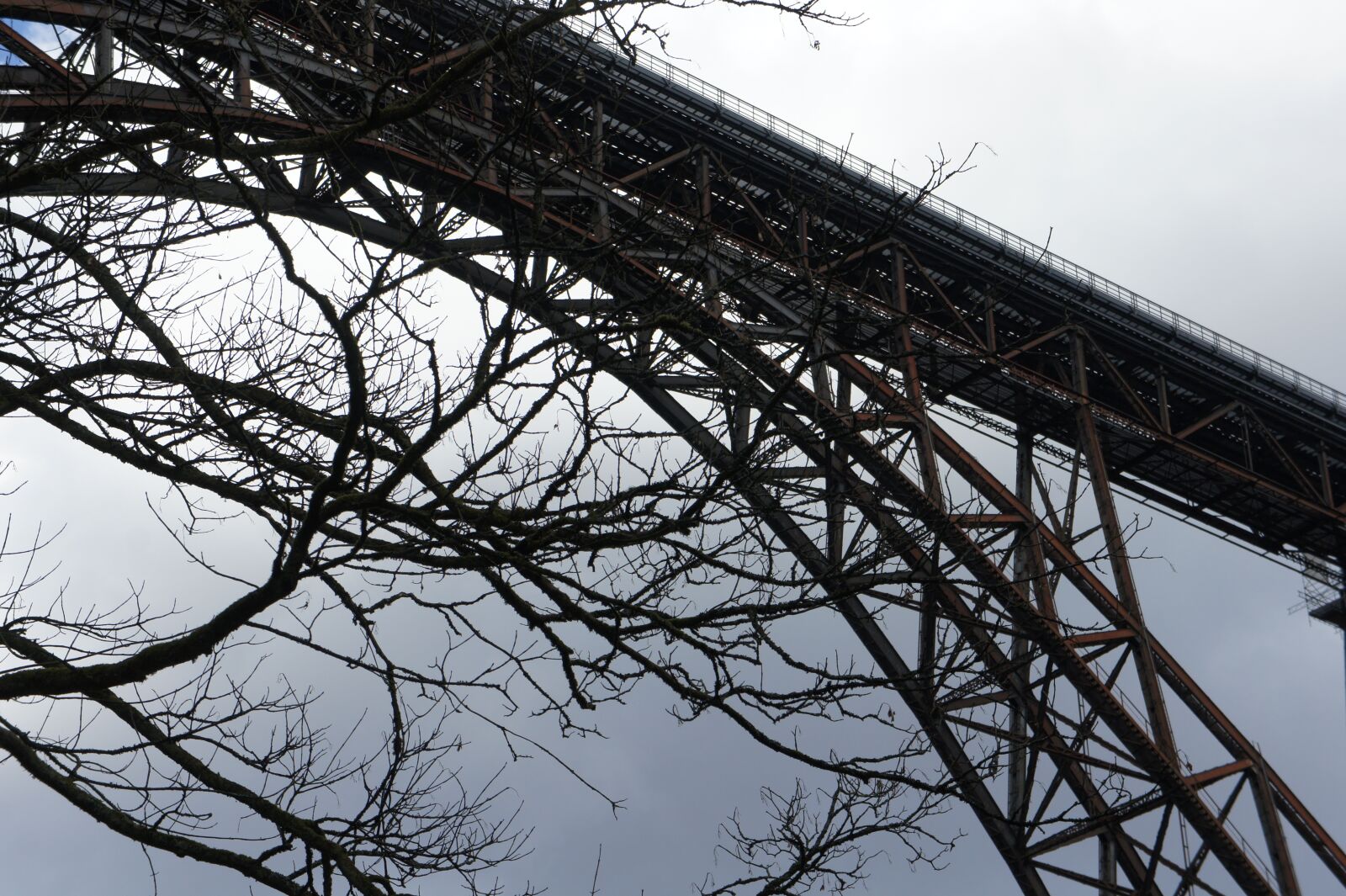 Sony Alpha NEX-3 + Sony E 18-55mm F3.5-5.6 OSS sample photo. Bridge, aesthetic, tree photography