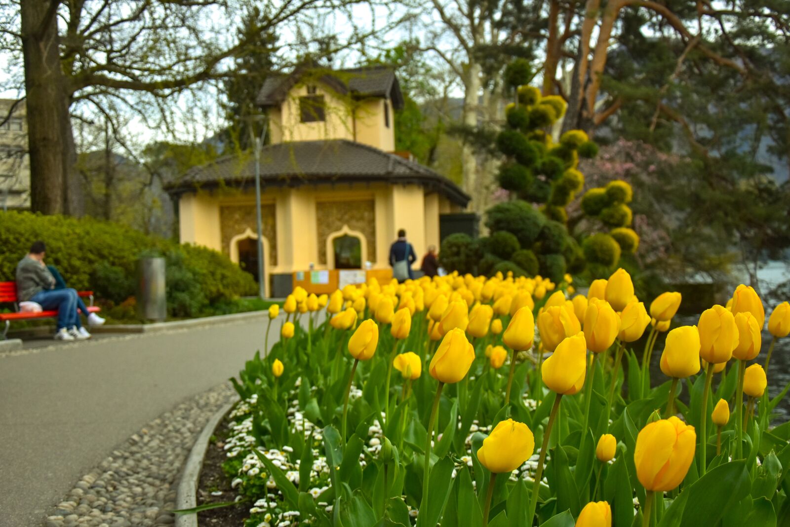 Nikon D7200 sample photo. Switzerland, flowers, park photography