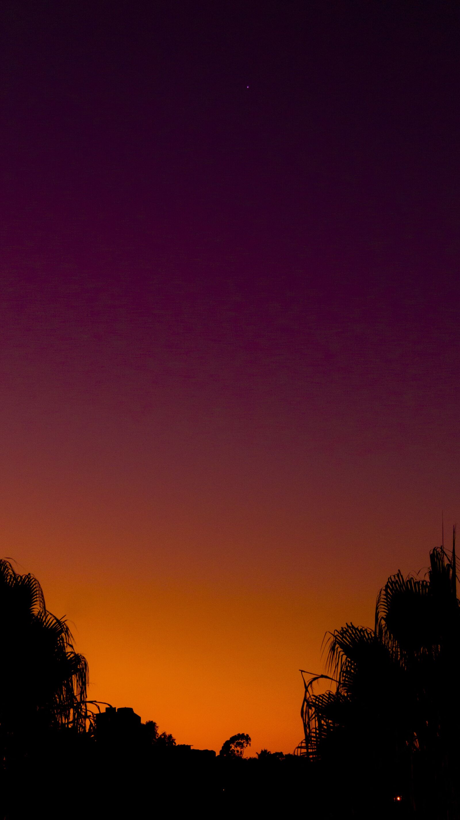 Sony DT 18-55mm F3.5-5.6 SAM II sample photo. Sunset, silhouettes, prairie photography