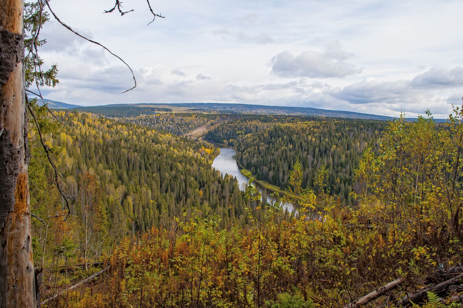 Nikon D5000 sample photo. Nature, landscape, wood photography
