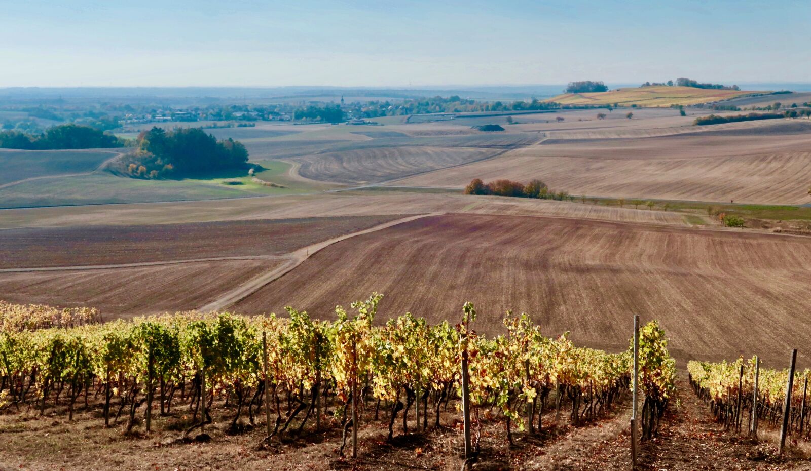 Canon PowerShot G7 X Mark II sample photo. Vineyard, vines, winegrowing photography