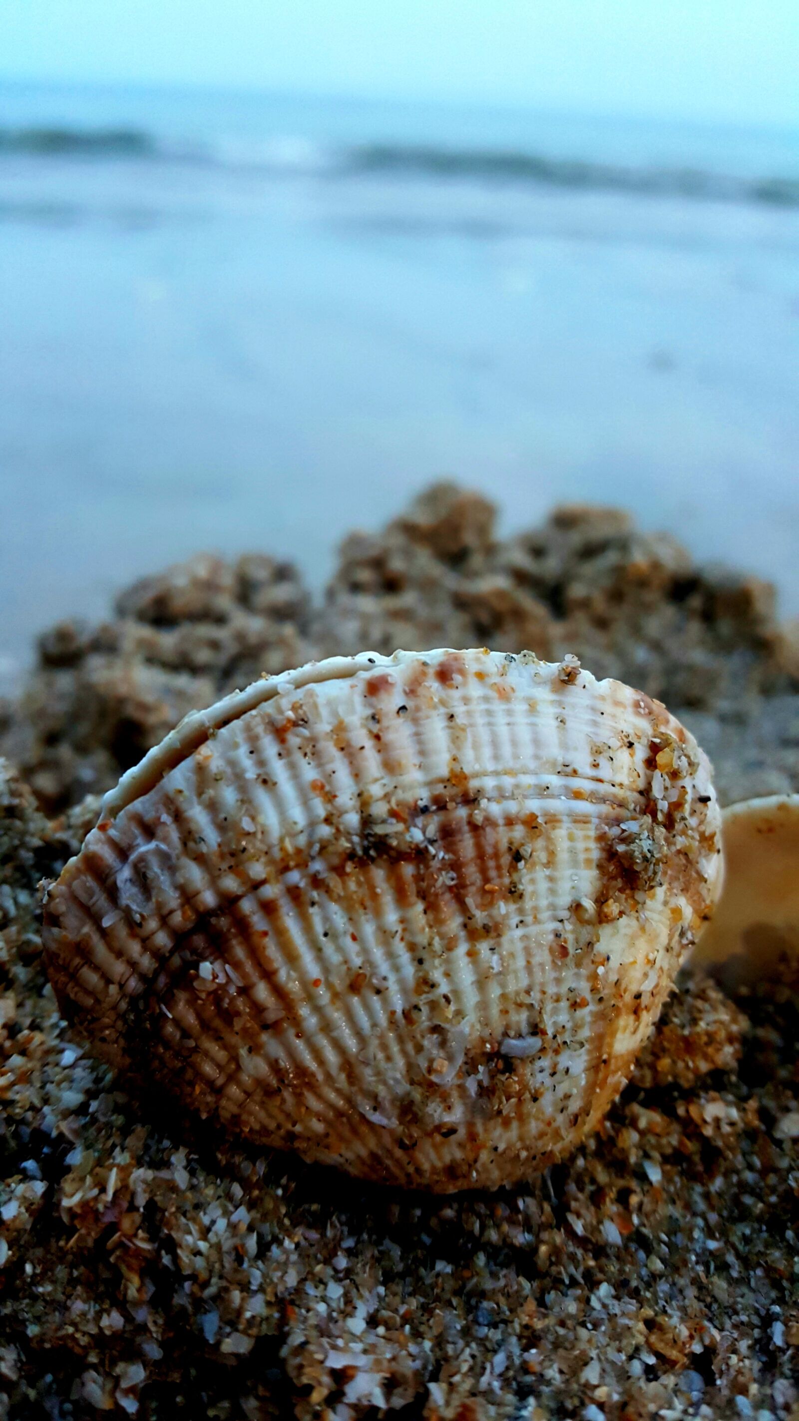 Samsung GALAXY S6 edge sample photo. Sea, beach, nature photography