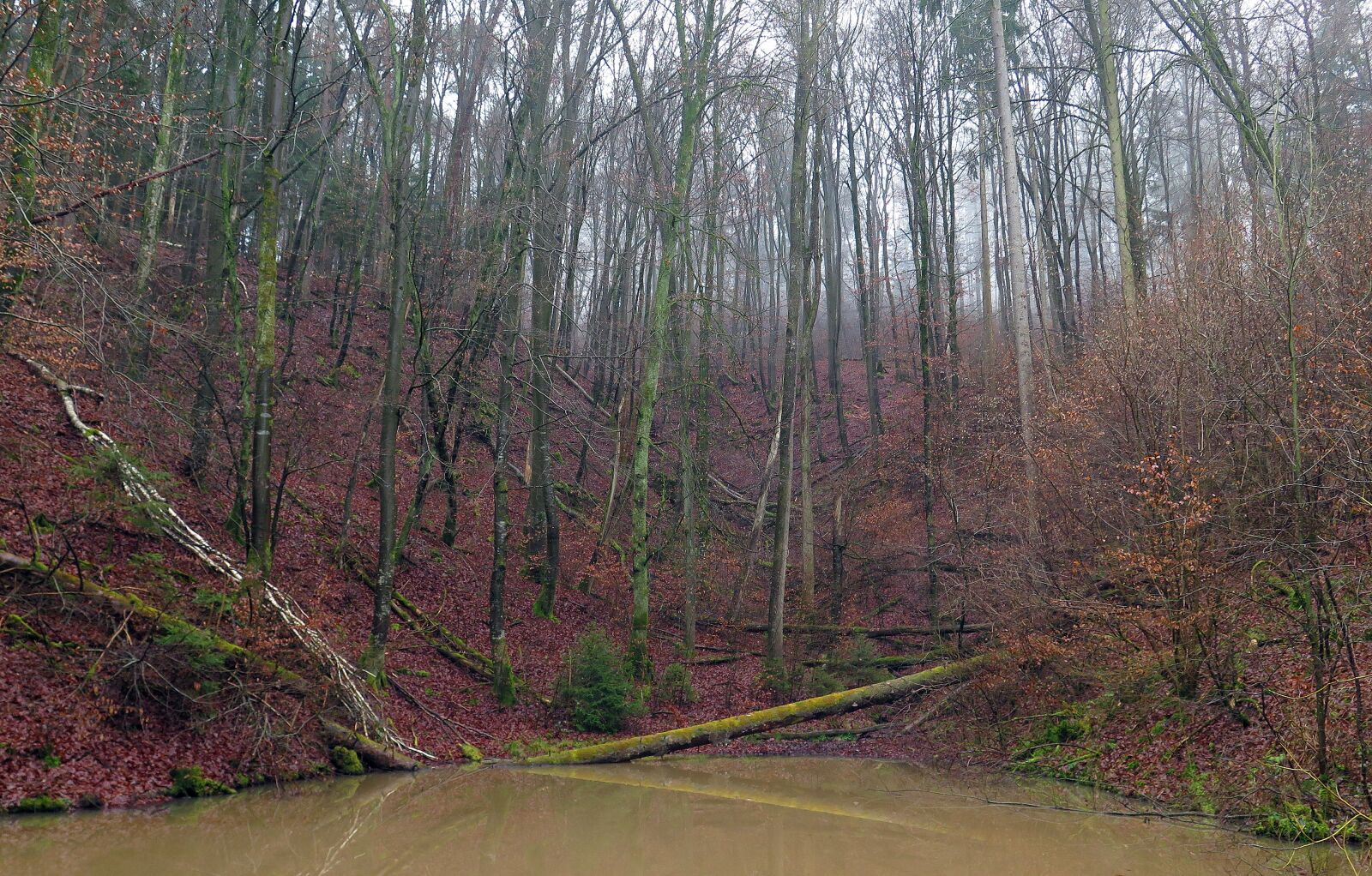 Canon PowerShot G16 sample photo. Pond, forest, autumn photography