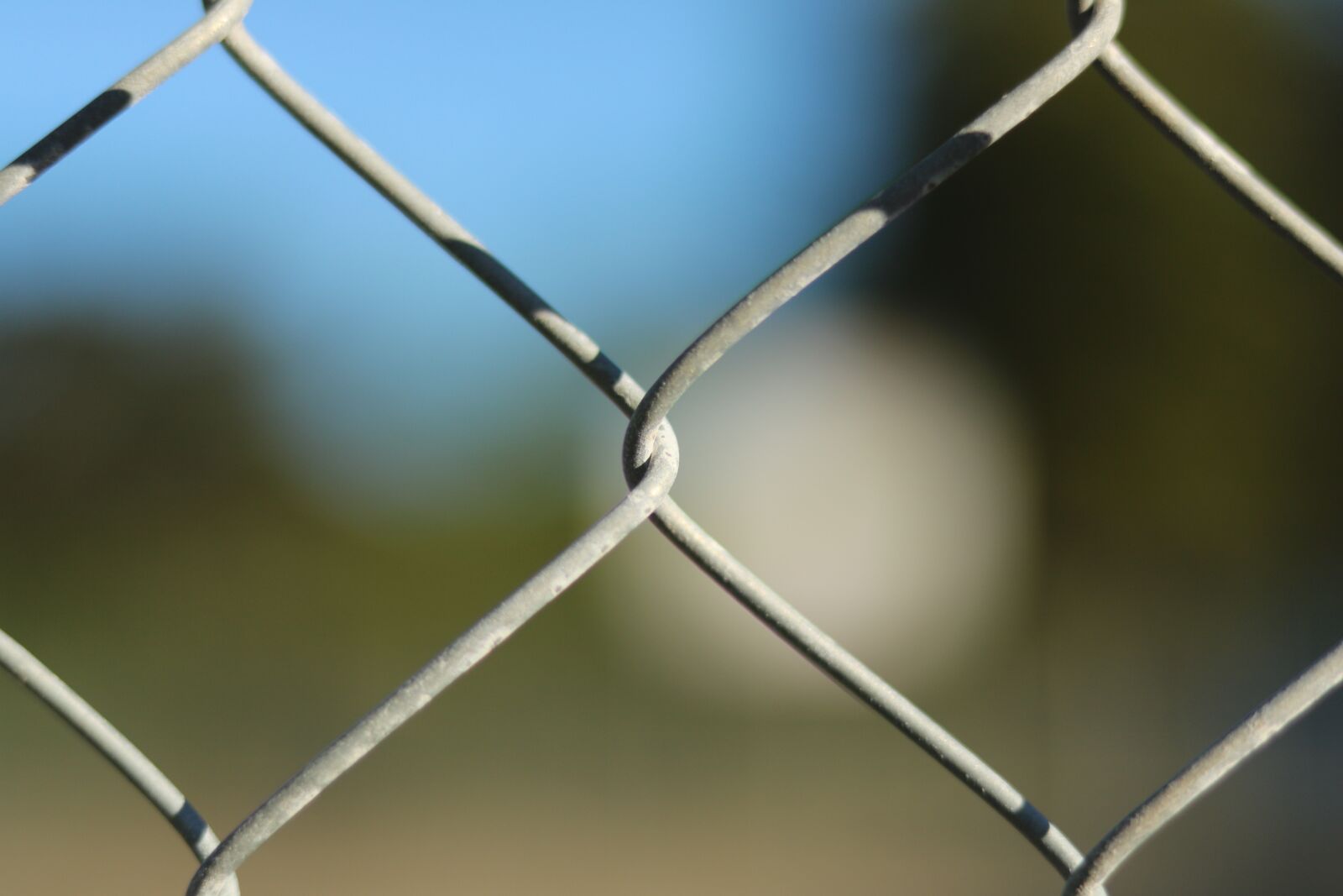 Canon EOS 750D (EOS Rebel T6i / EOS Kiss X8i) sample photo. Fence, aperture, blur photography