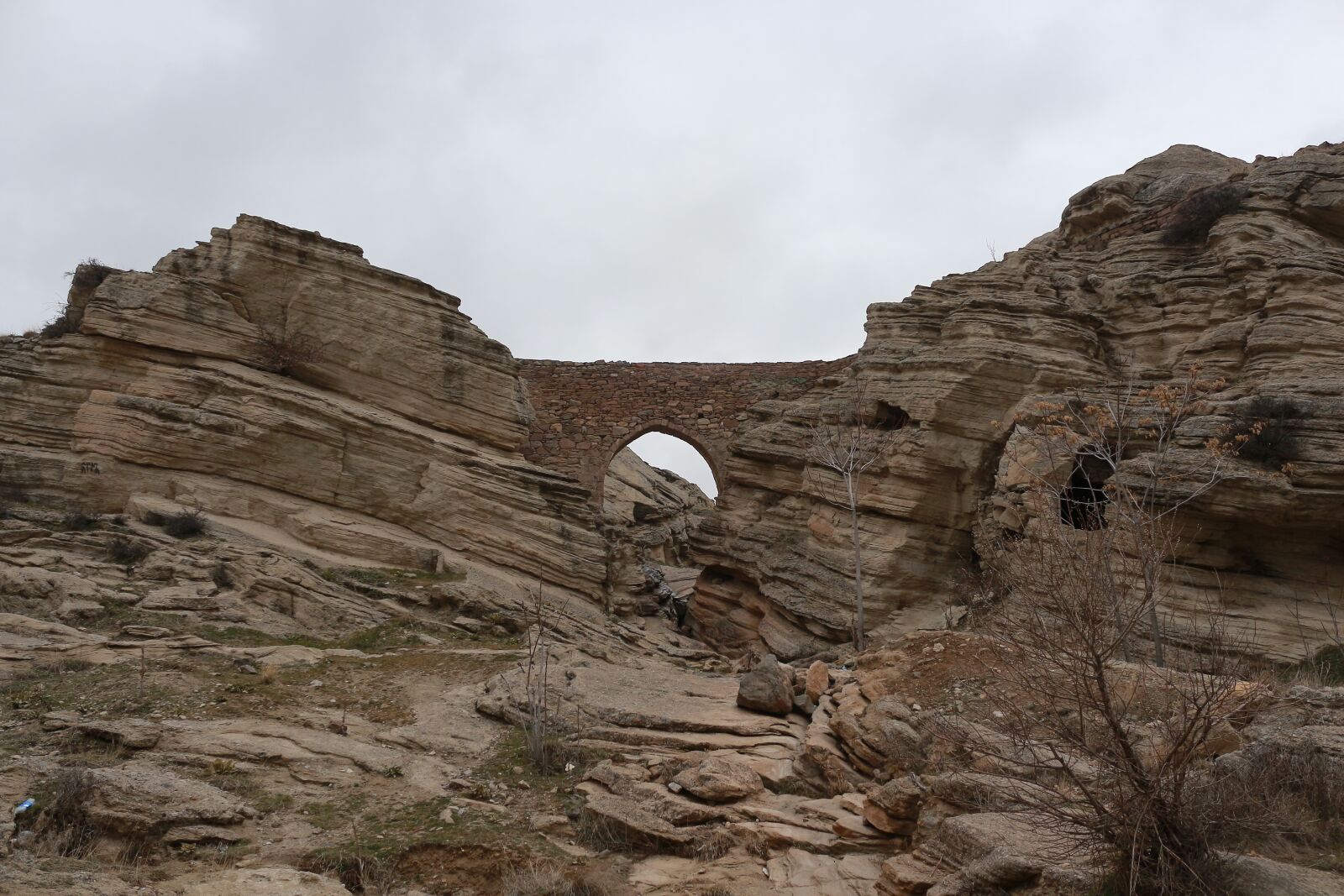 Canon EOS 700D (EOS Rebel T5i / EOS Kiss X7i) sample photo. Nature, kennedy, climbing photography