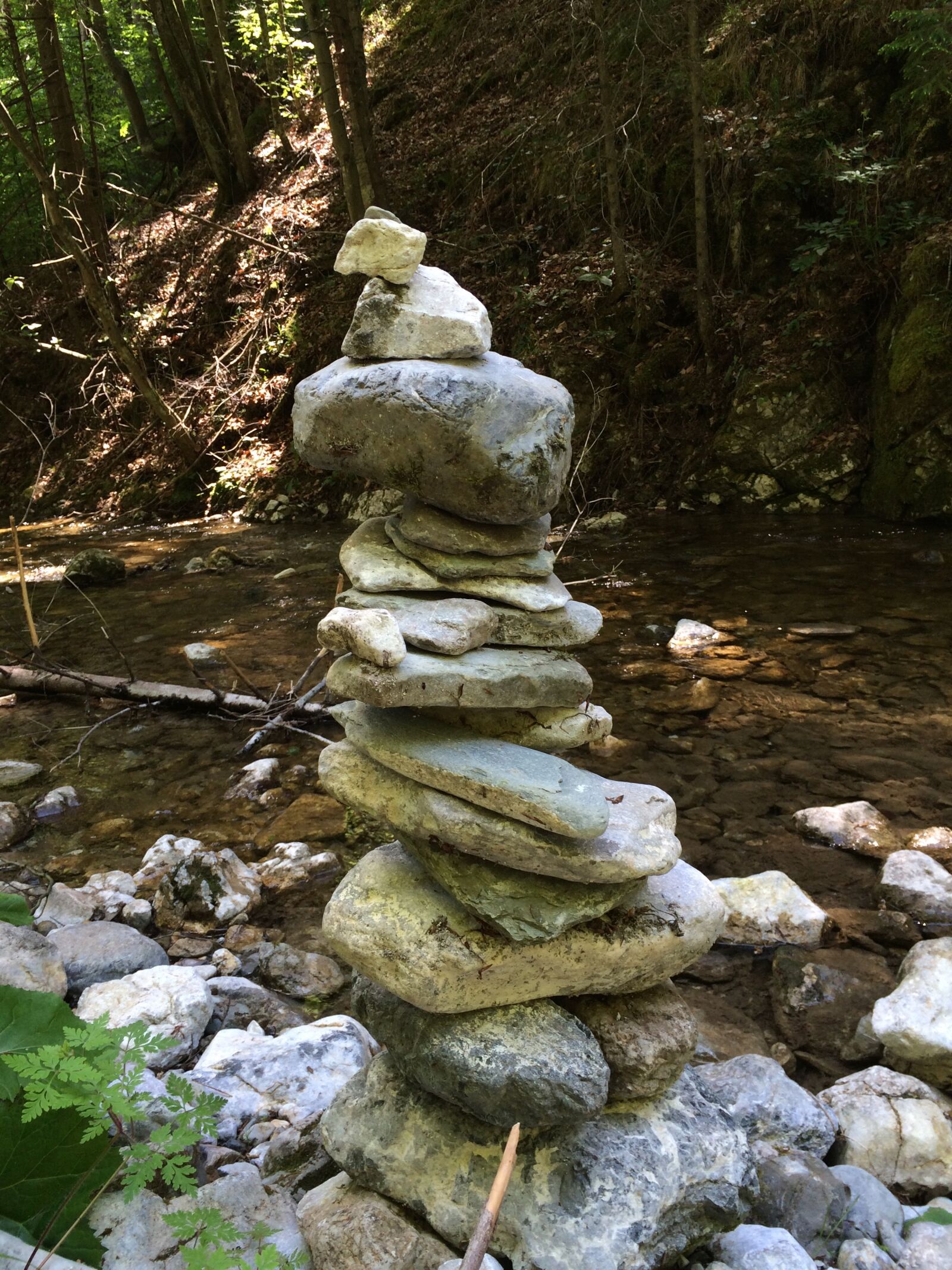 iPhone 5s back camera 4.15mm f/2.2 sample photo. Adventure, beautiful, brook, forest photography