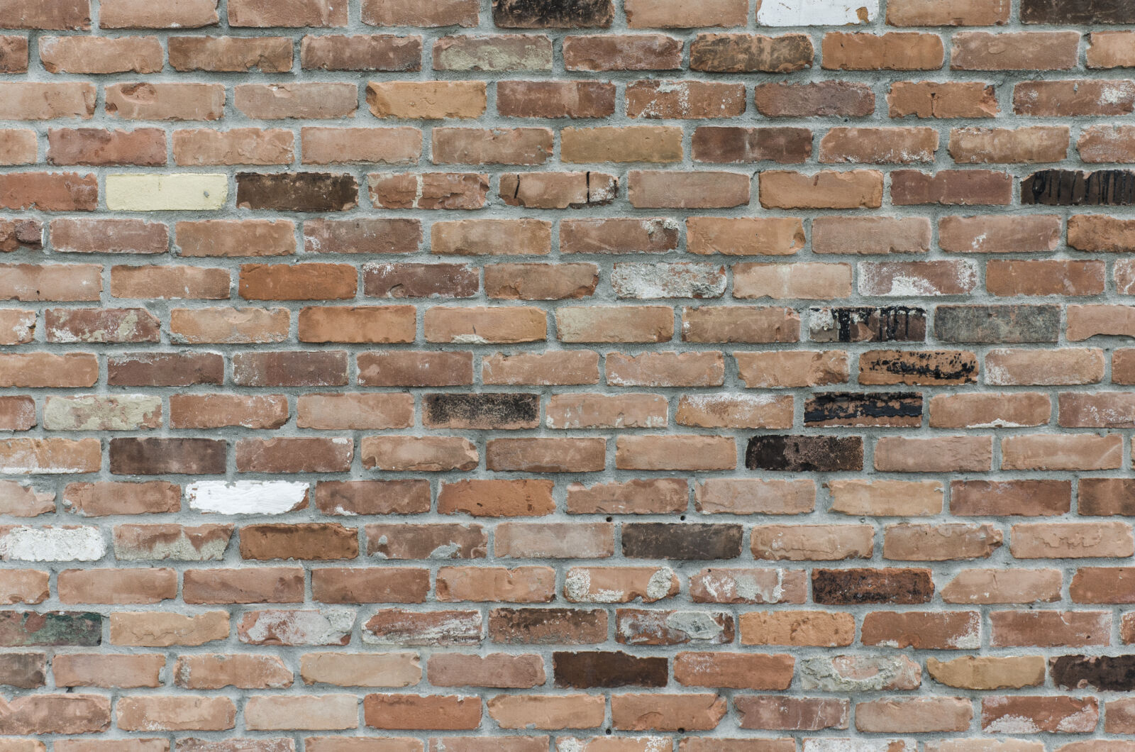 Nikon D7000 sample photo. Red, bricks, wall photography