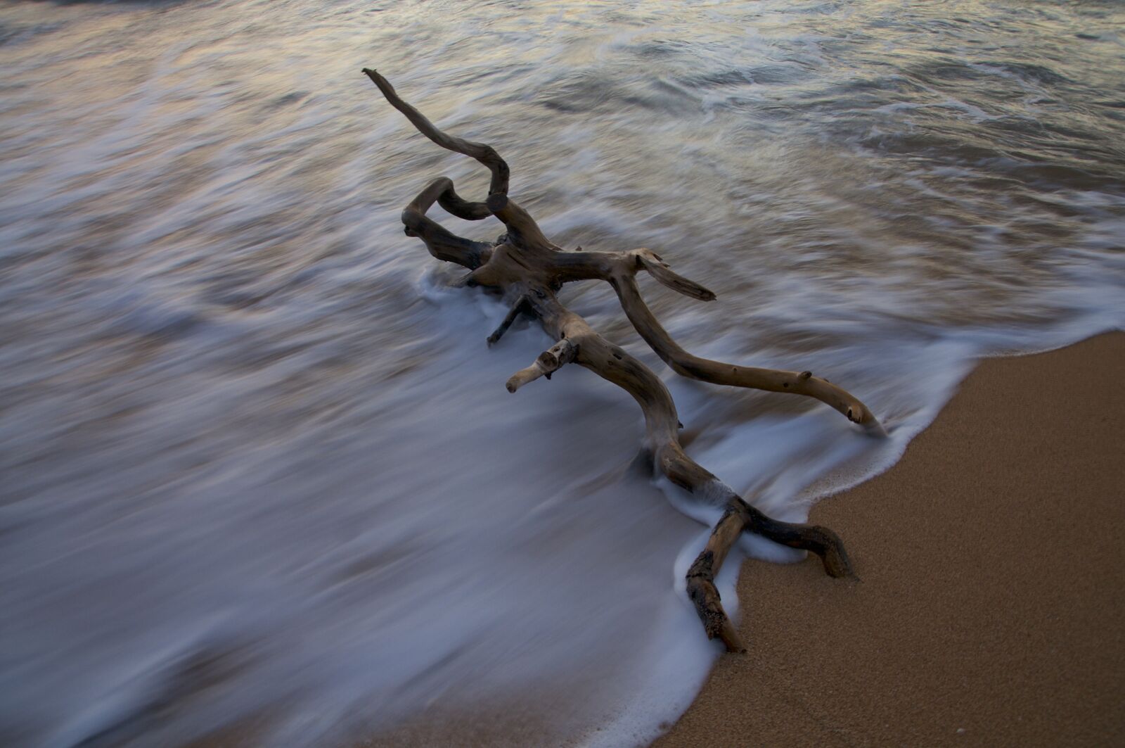 Nikon D300 sample photo. Water, nature, reflection photography