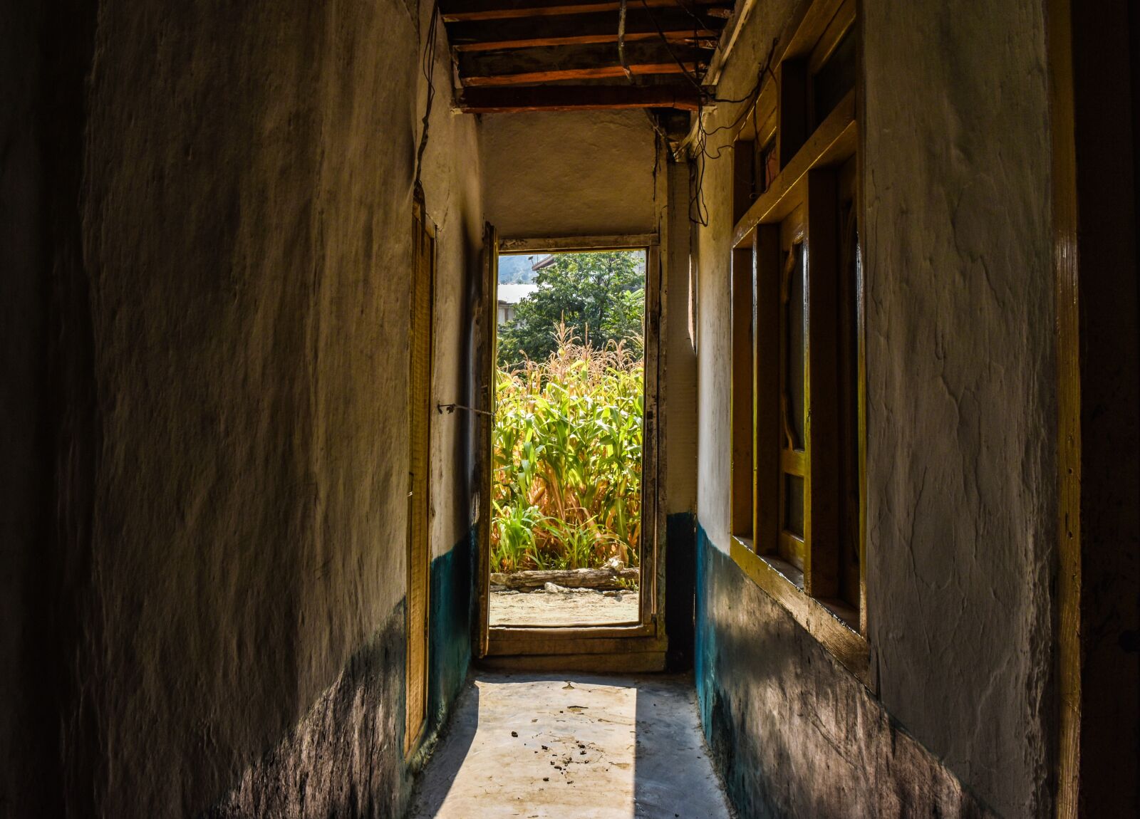 Nikon D3500 sample photo. Open door, fields, sunlight photography