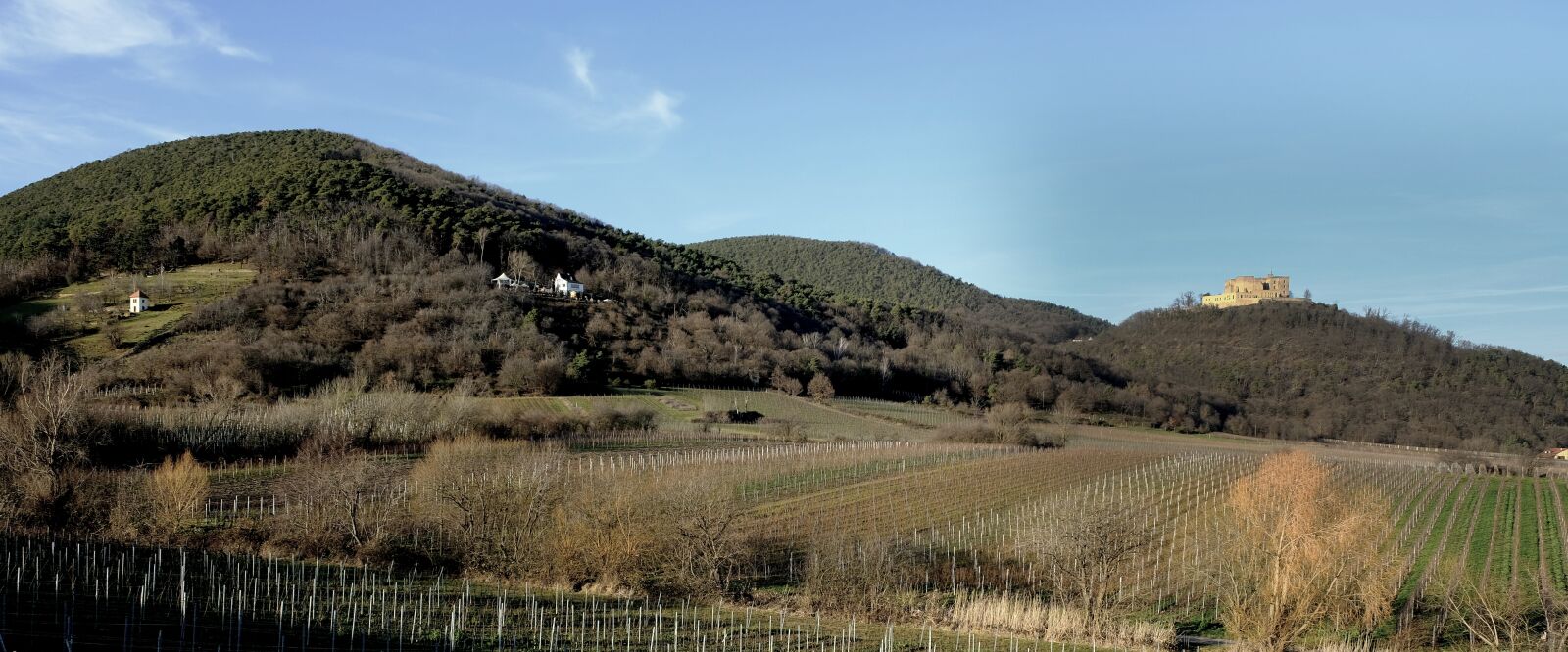 Fujifilm X-T2 sample photo. Landscape, hambach castle, palatinate photography