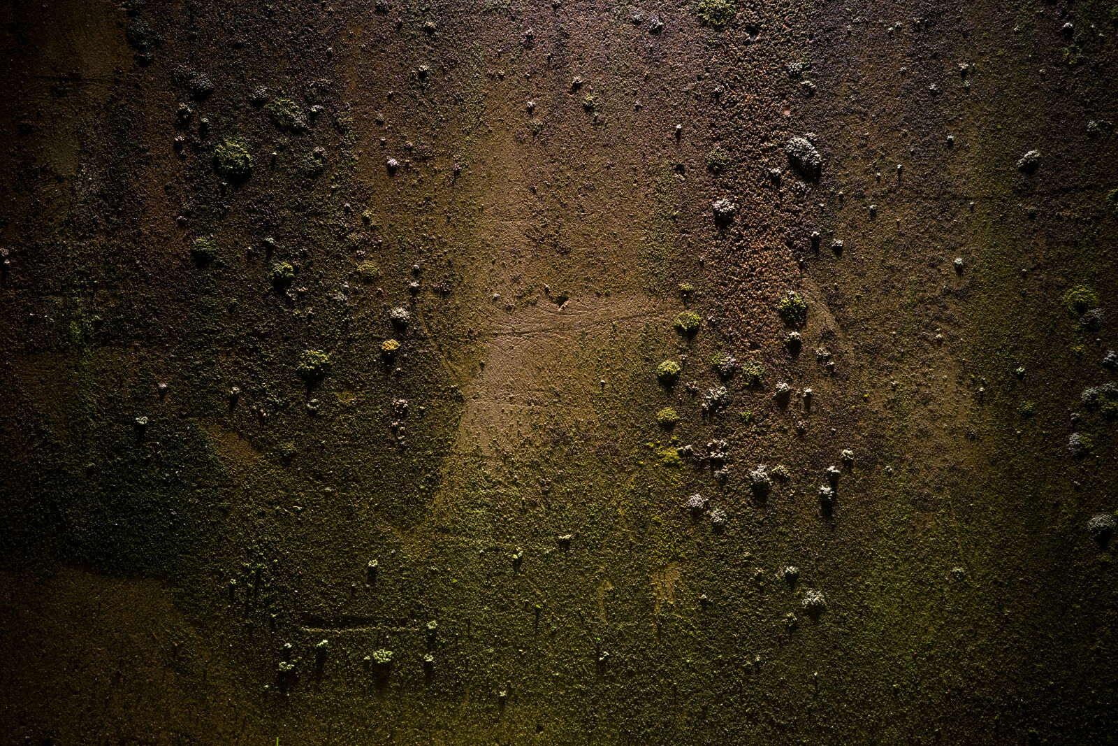 Ricoh GR IIIx sample photo. Concrete moss night photography