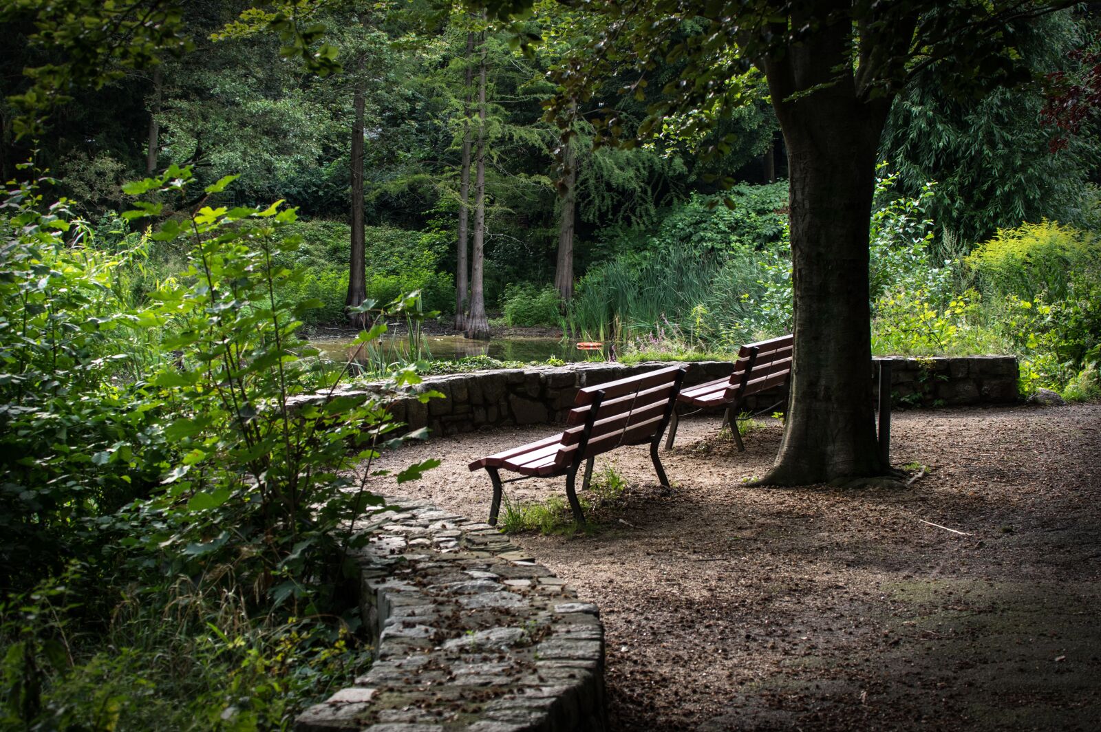 Pentax K-3 sample photo. Park bench, lake, nature photography