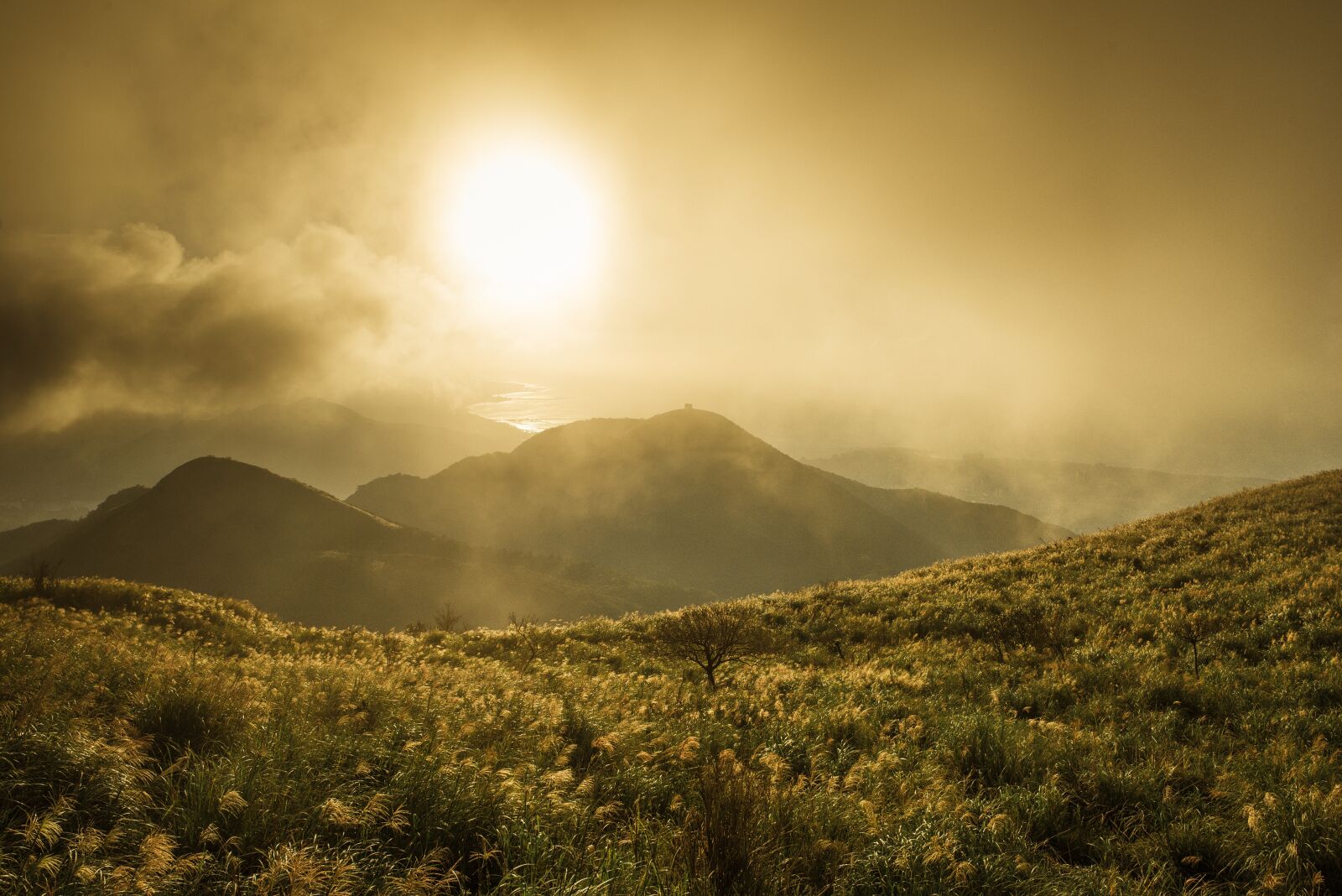 Nikon D610 sample photo. The evening sun, a photography