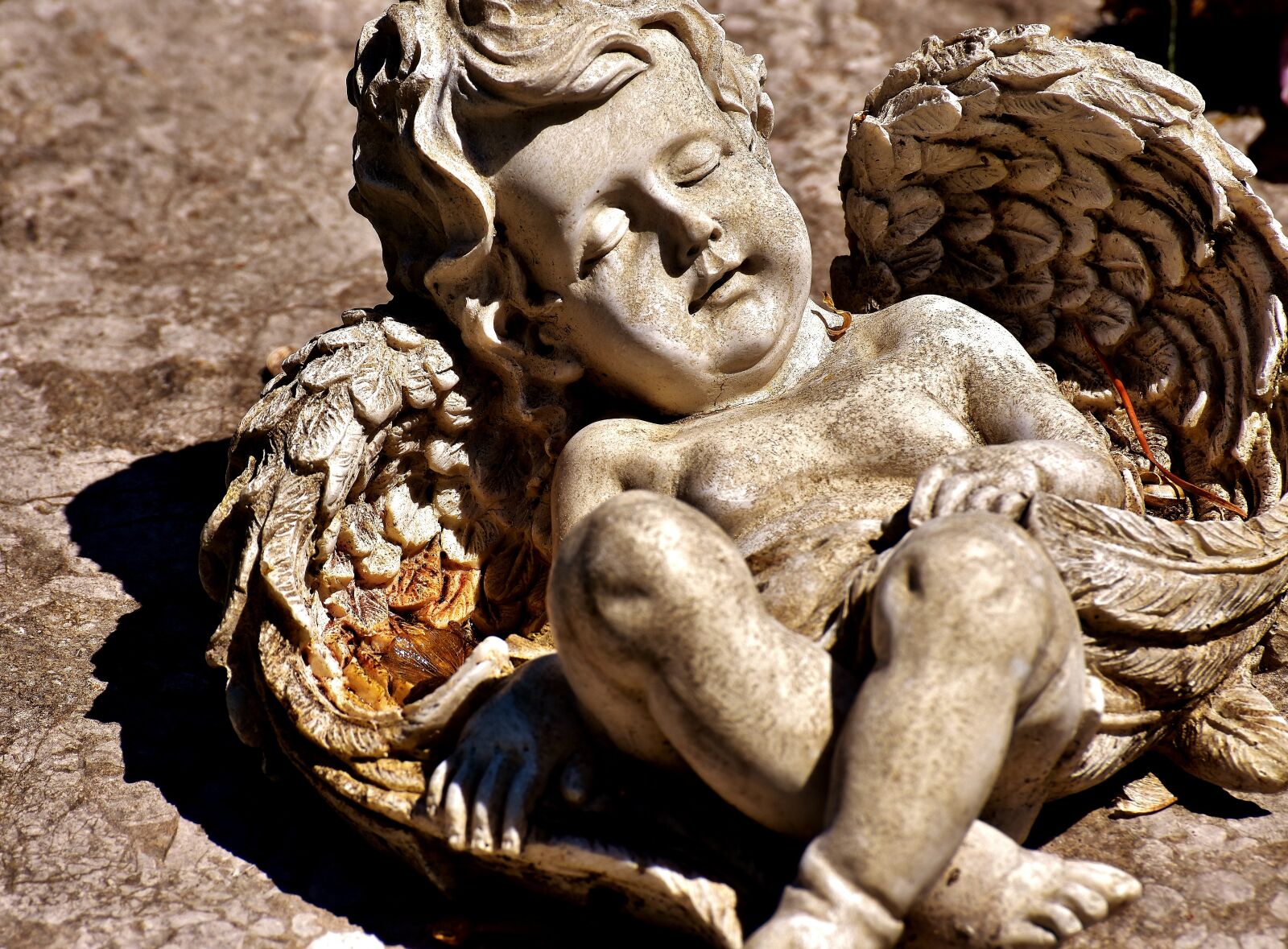 Nikon D7200 sample photo. Angel, statue, holy photography