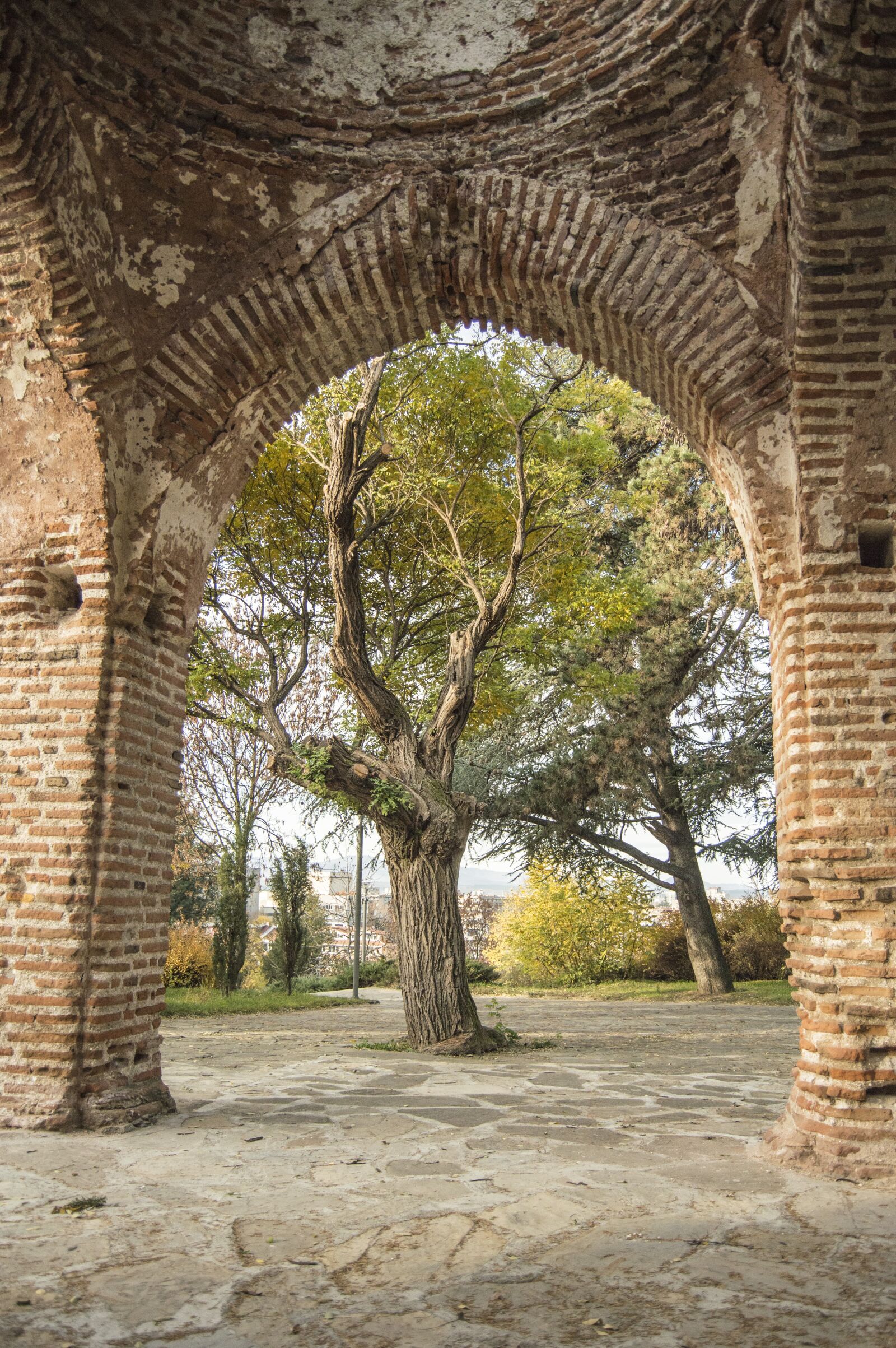 Nikon D3200 sample photo. Kazanluk, bulgaria, park photography