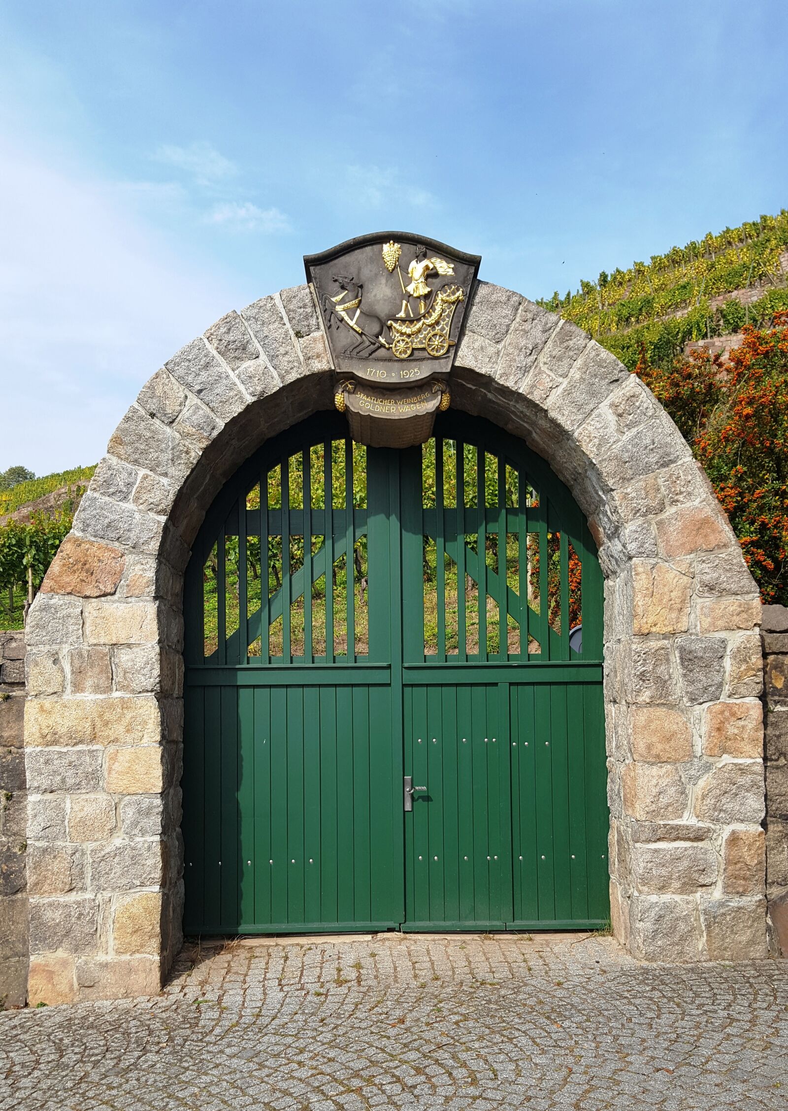 Samsung Galaxy S6 sample photo. Goal, vineyard, winemaker photography