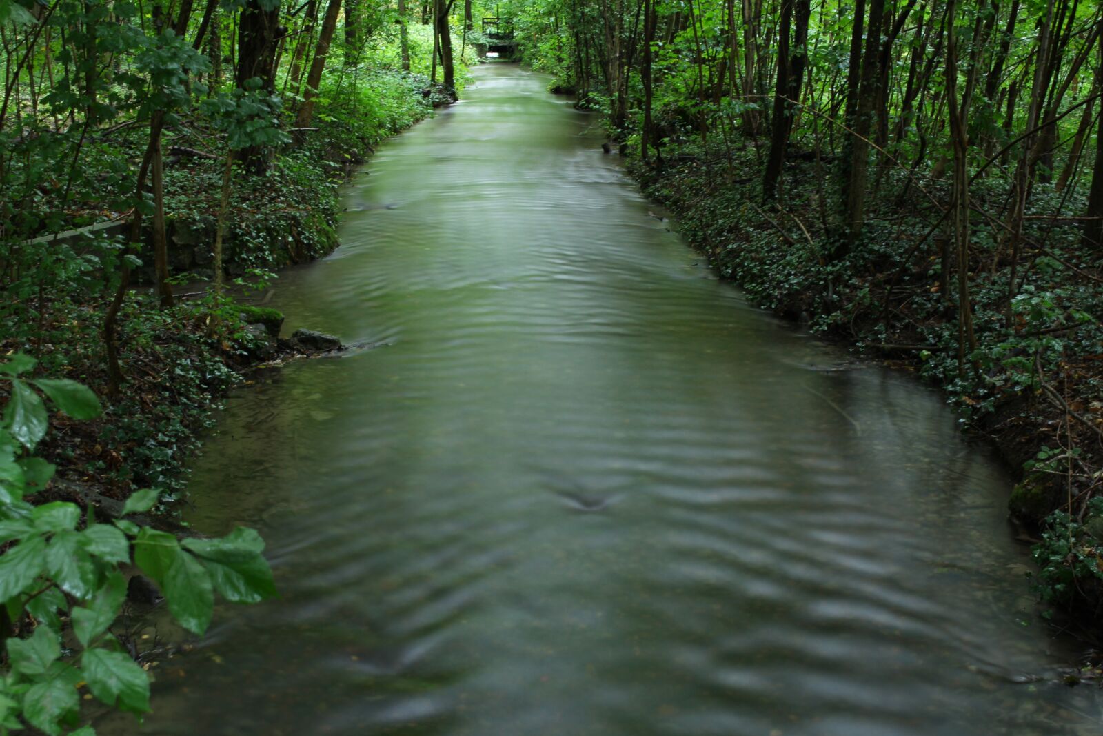 Canon EOS 700D (EOS Rebel T5i / EOS Kiss X7i) sample photo. Bach, forest, water photography