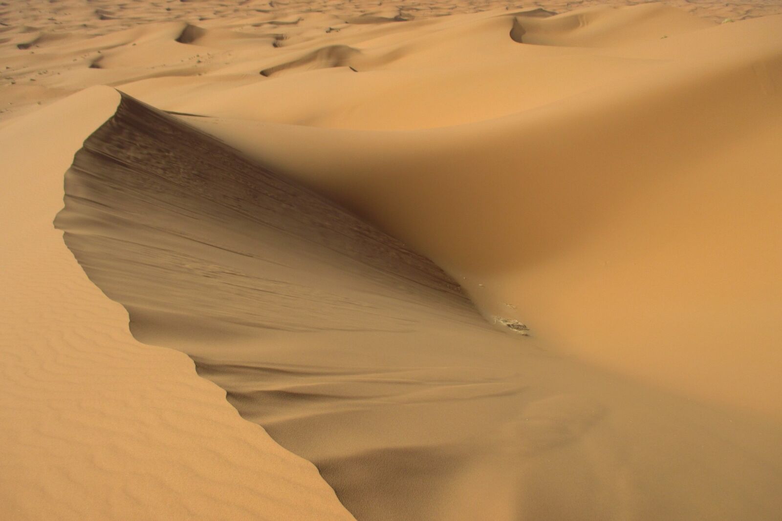 Canon PowerShot ELPH 115 IS (IXUS 132 / IXY 90F) sample photo. Sand, sahara, desert photography