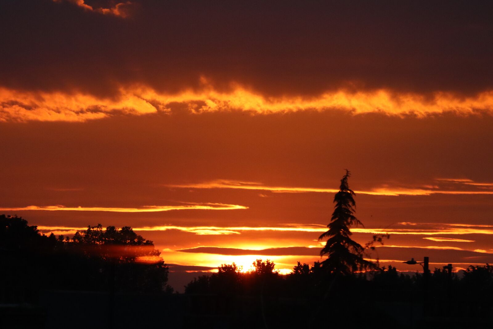 Canon EOS 250D (EOS Rebel SL3 / EOS Kiss X10 / EOS 200D II) sample photo. Sunset, sky, beautiful photography