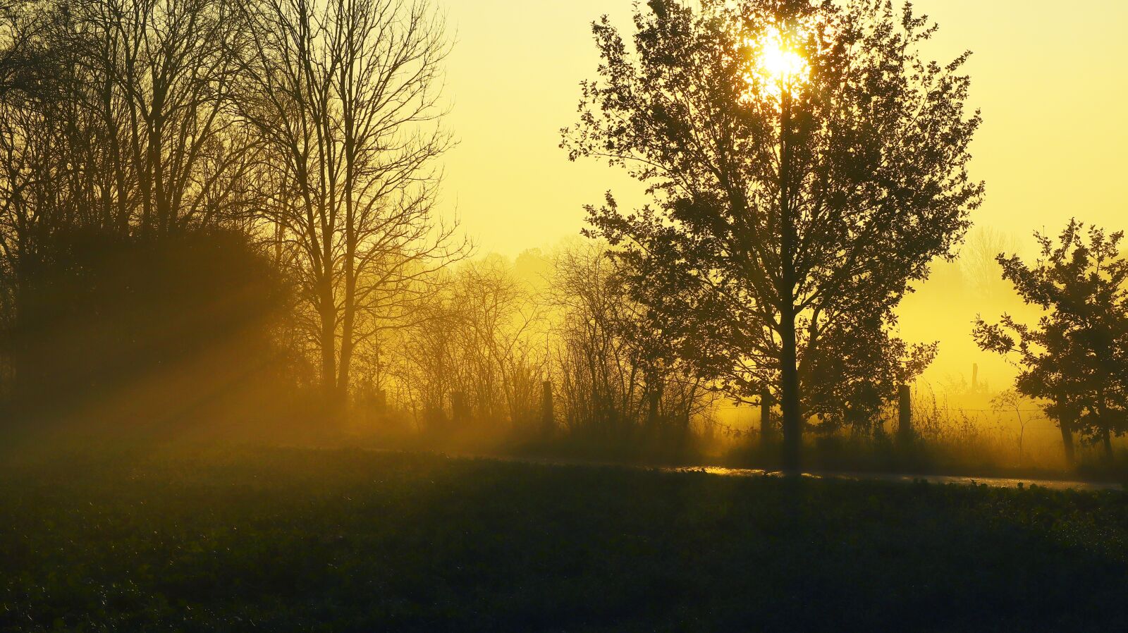 Canon EOS M50 (EOS Kiss M) + Canon EF-M 55-200mm F4.5-6.3 IS STM sample photo. Sunrise, autumn, mood photography