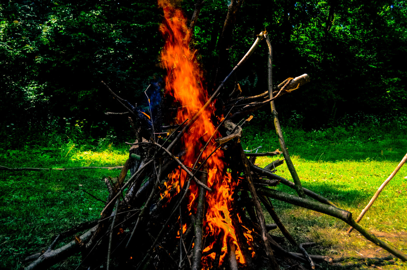 Nikon D5000 sample photo. Bonfire, burning, camp, campfire photography