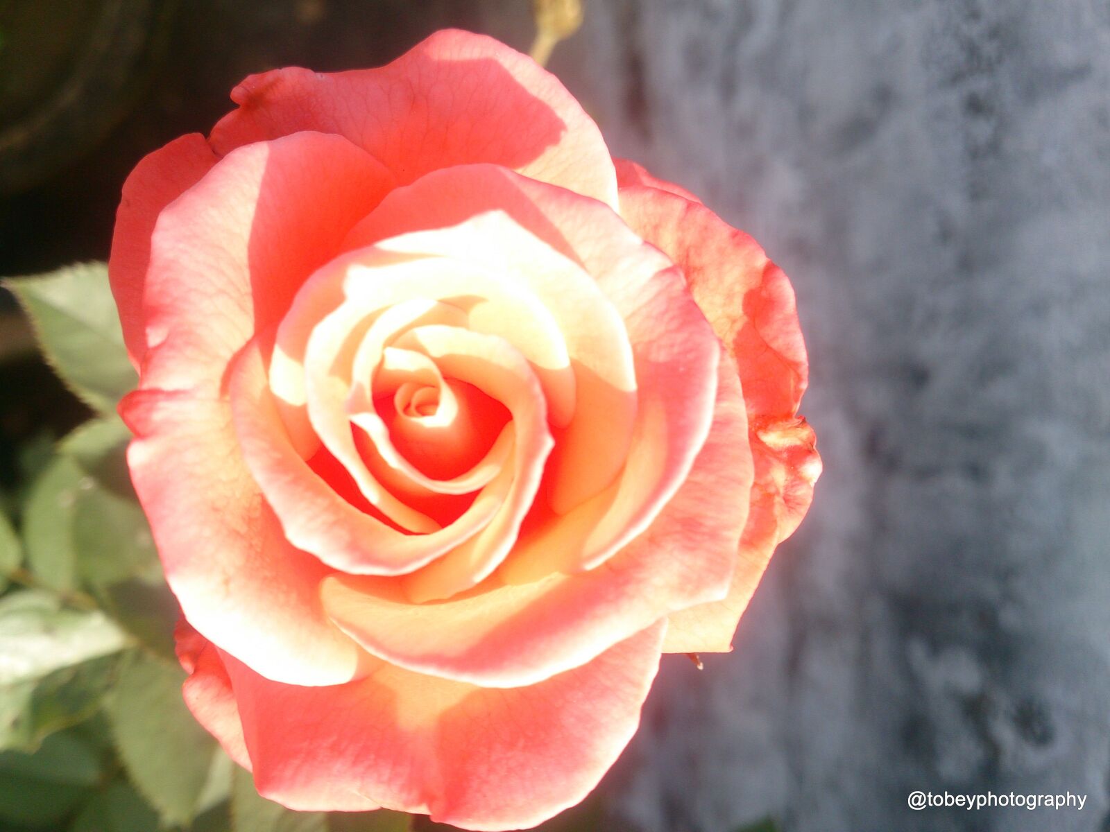 Sony Xperia Z sample photo