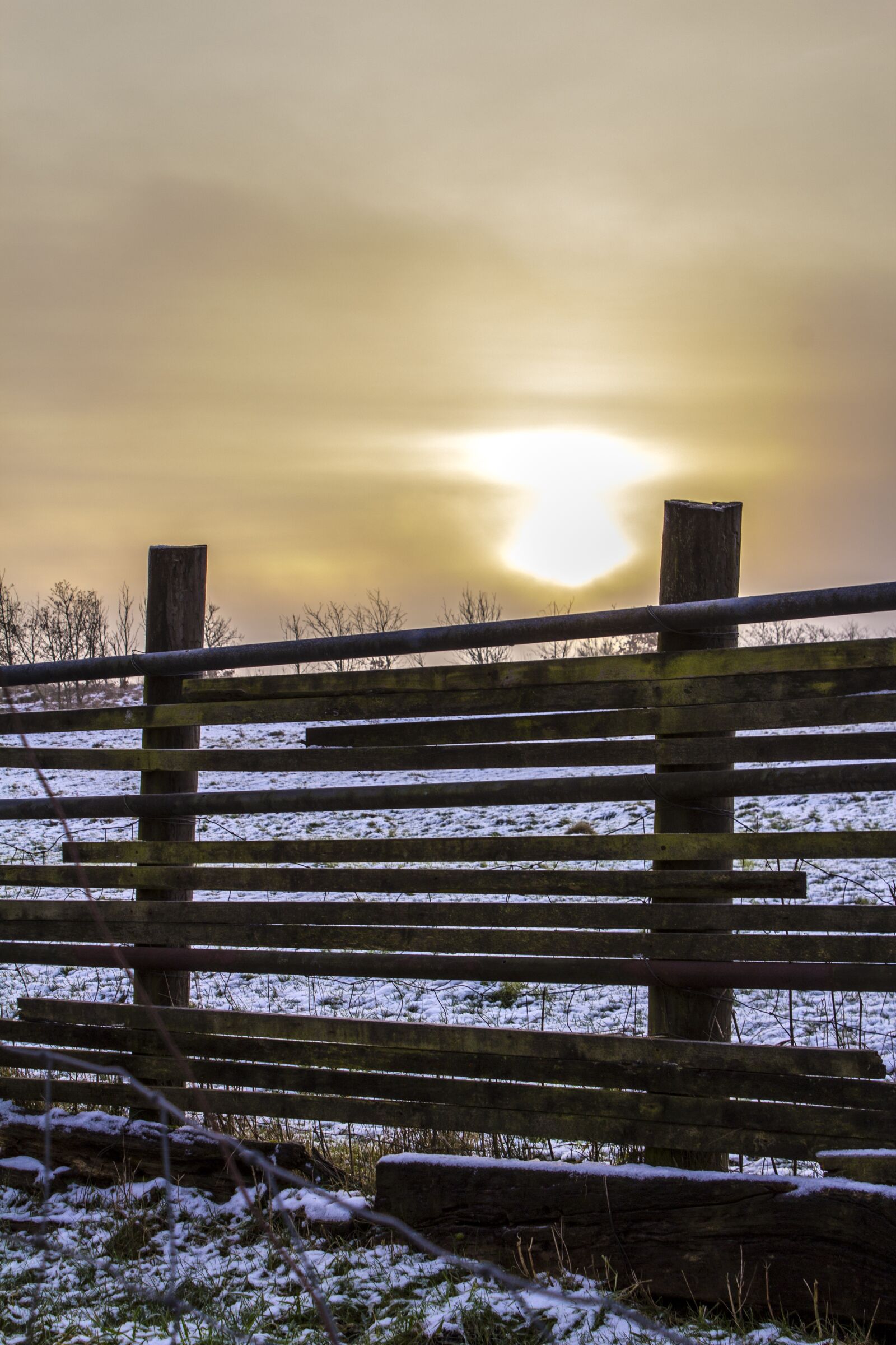 Canon EOS 600D (Rebel EOS T3i / EOS Kiss X5) sample photo. Outdoor, sunset, natural photography