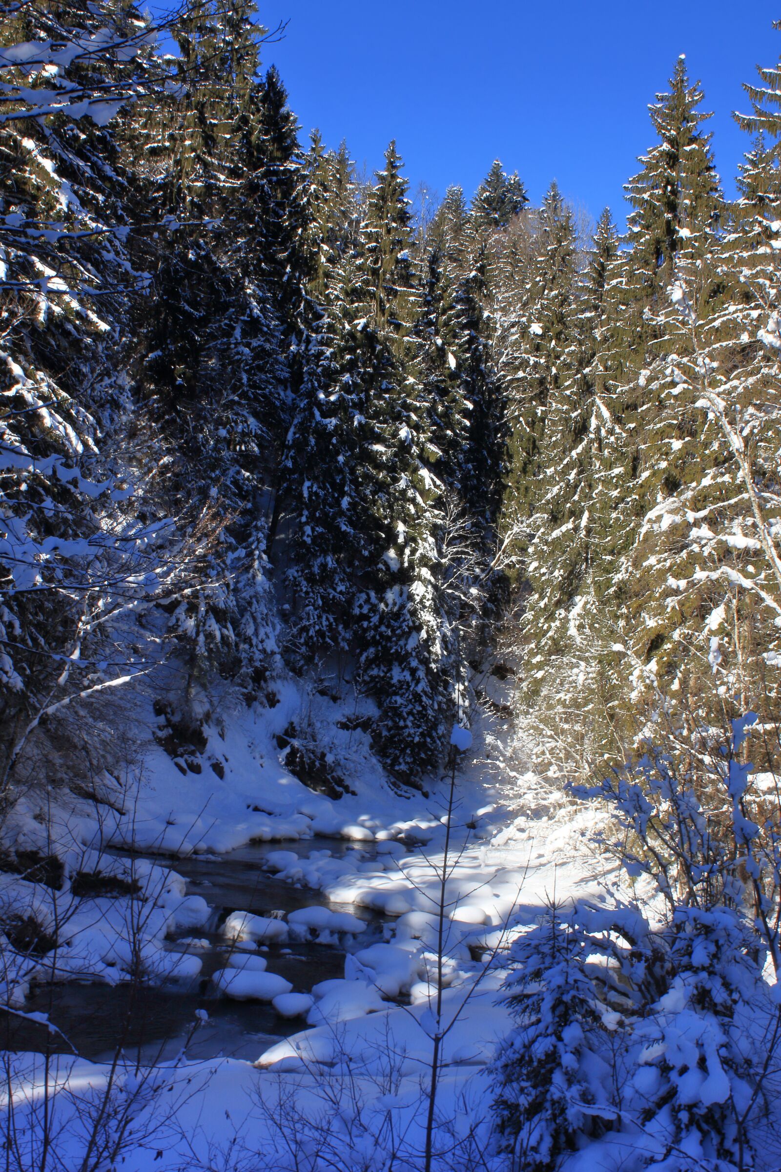 Canon EOS 550D (EOS Rebel T2i / EOS Kiss X4) sample photo. Torrent, mountain stream, winter photography