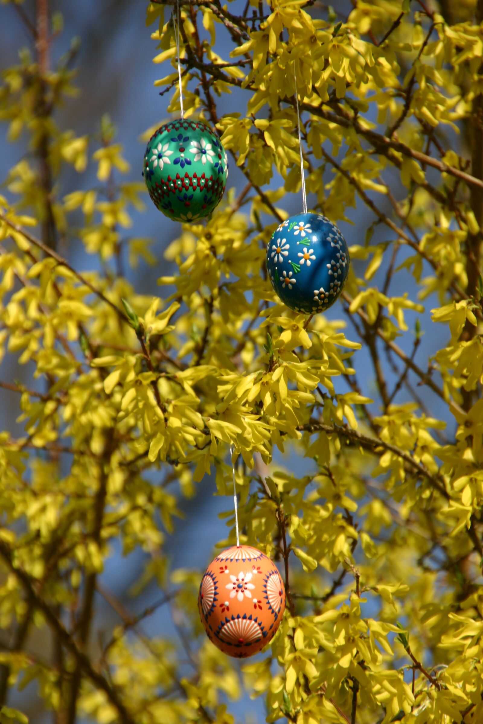 Canon EOS 300D (EOS Digital Rebel / EOS Kiss Digital) sample photo. Easter egg, easter, easter photography
