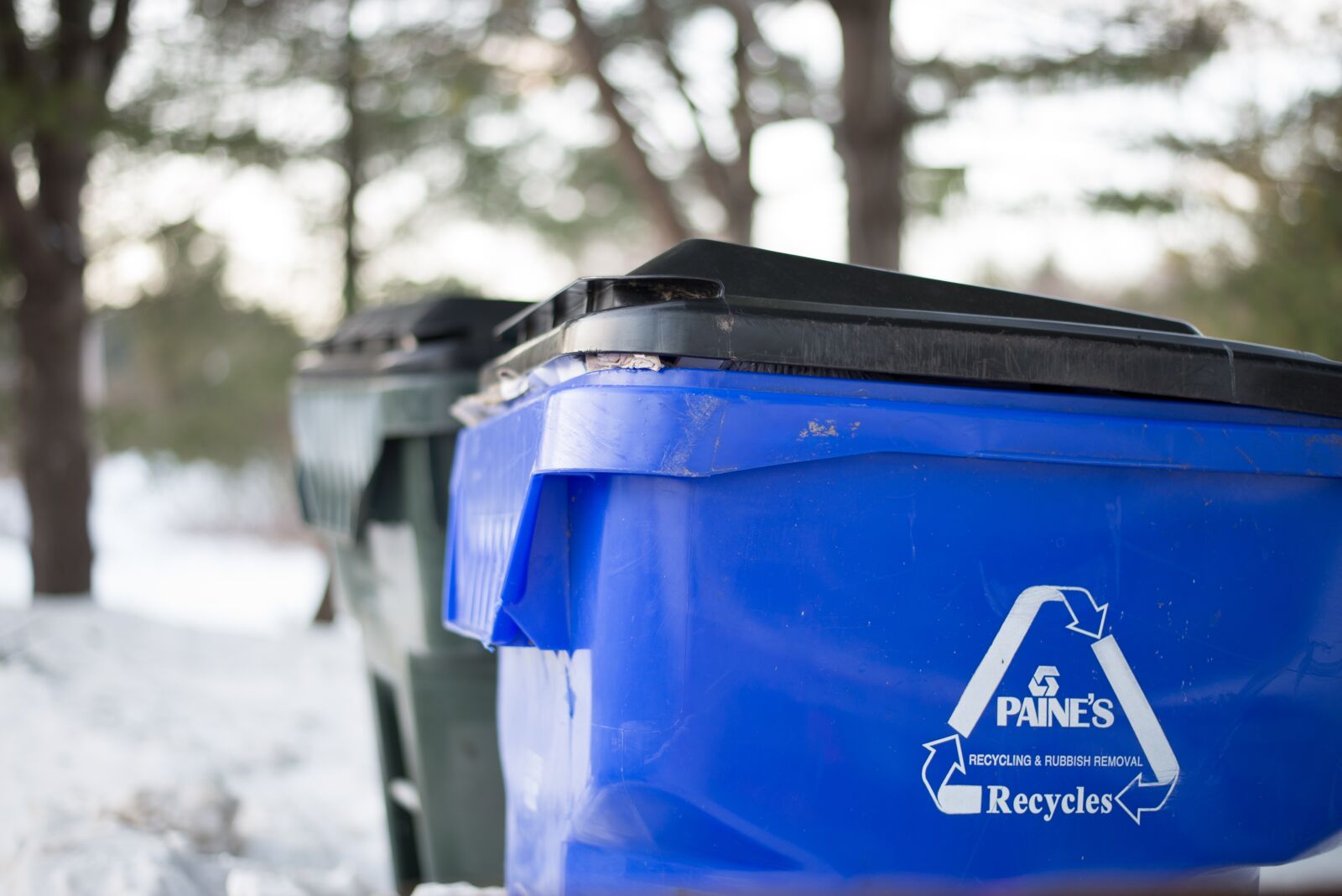 Nikon D610 sample photo. Garbage, recycle, bin photography