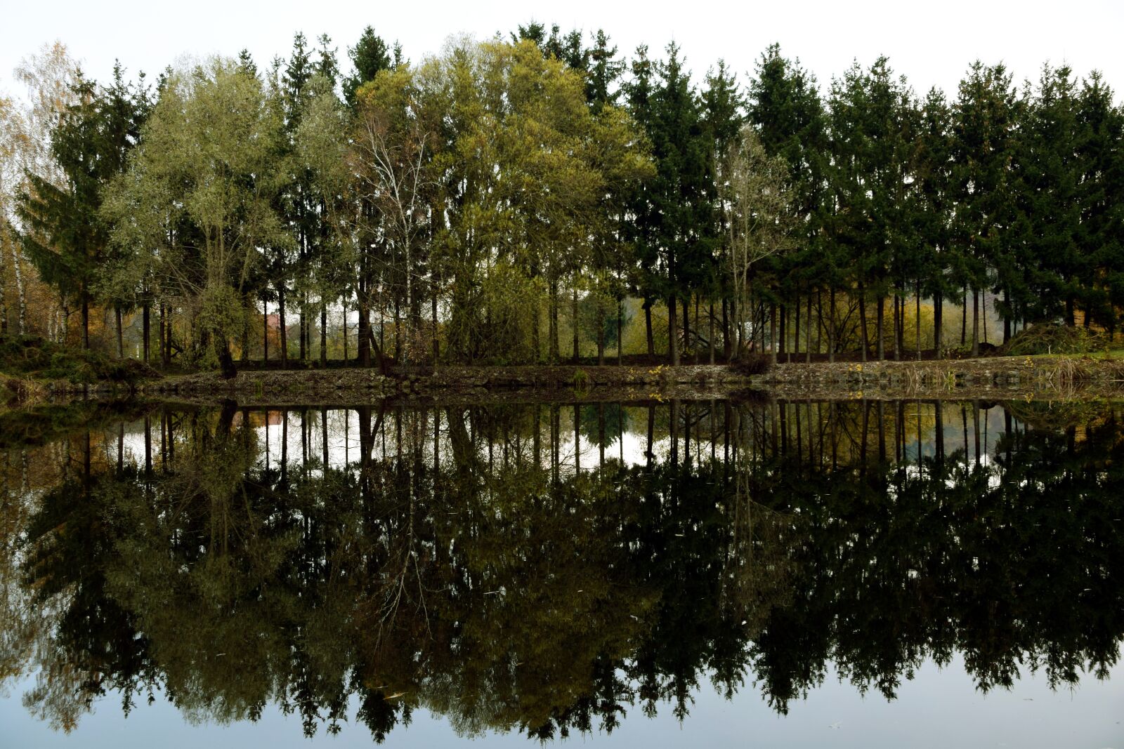 Nikon D3300 sample photo. Lakeside, mirroring, trees photography
