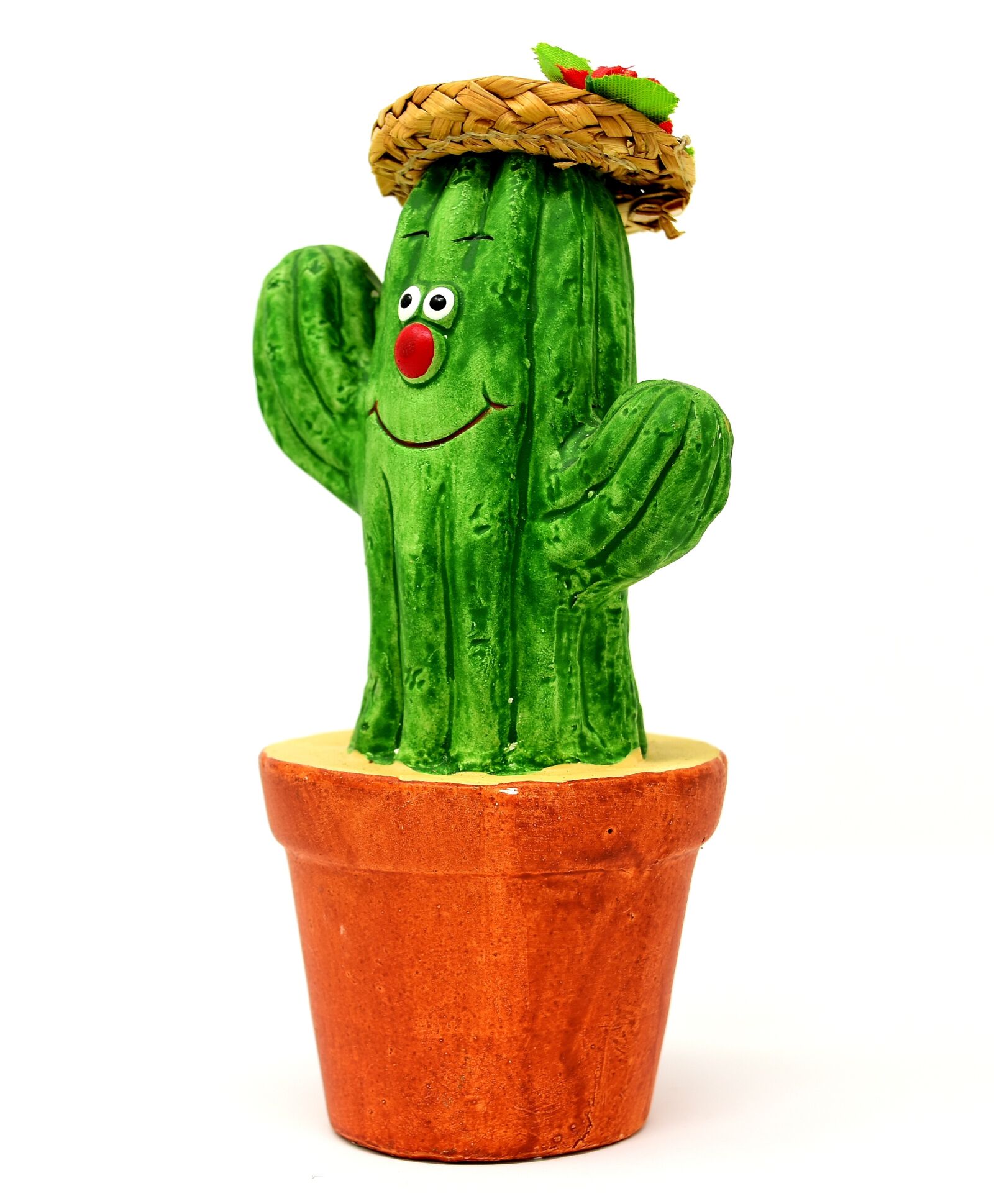 Nikon D7200 sample photo. Cactus, figure, funny photography