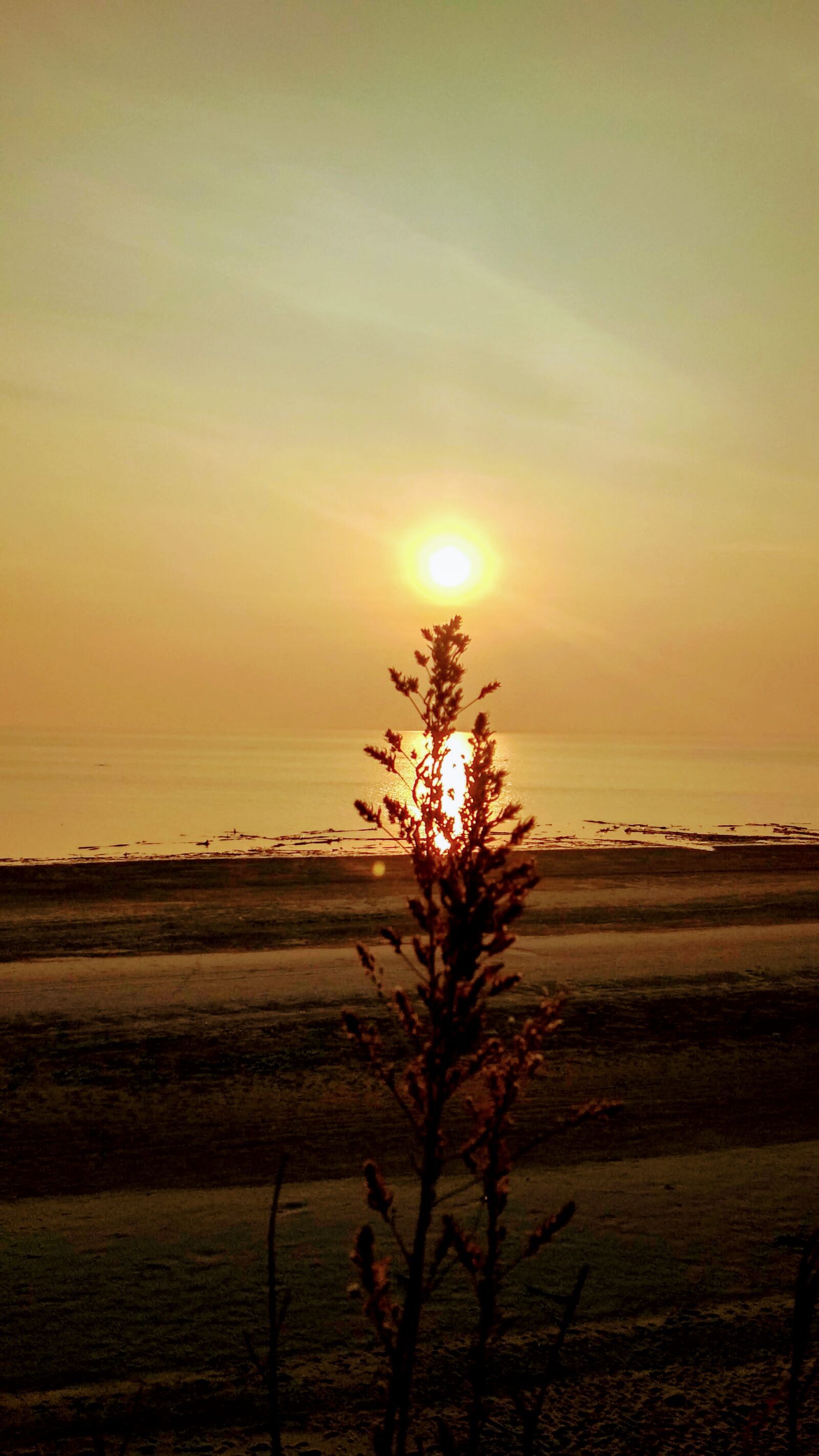Xiaomi Redmi 4X sample photo. Sun, orange, sunset photography