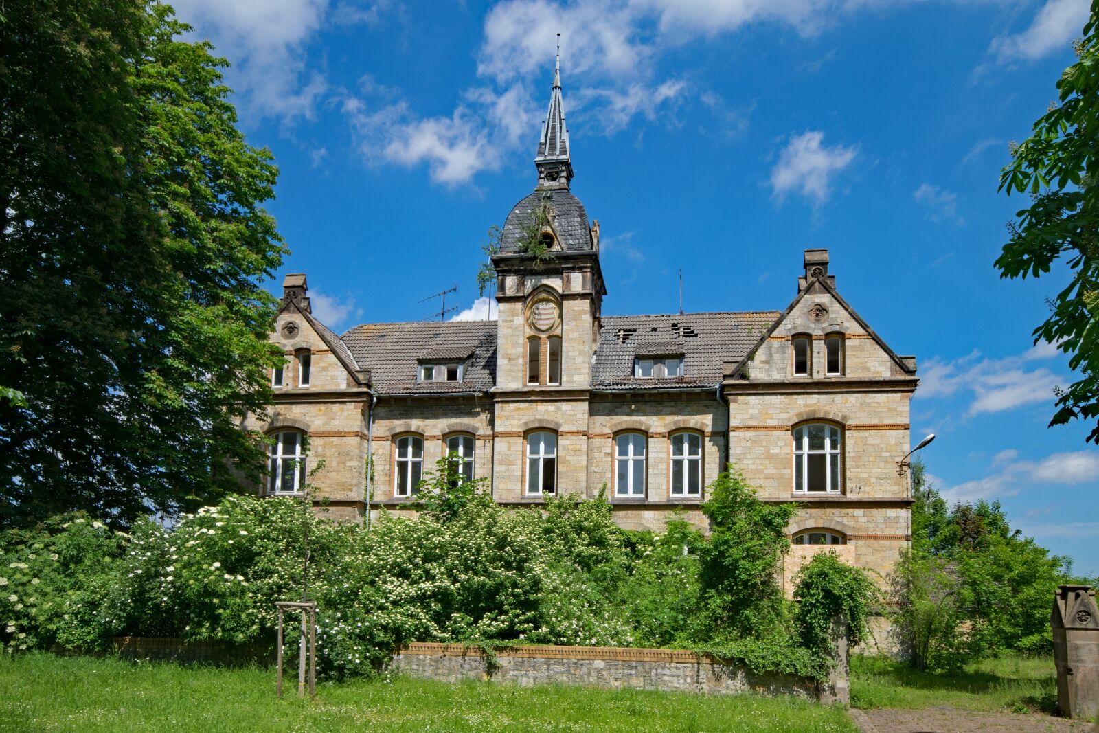 Nikon D5300 sample photo. Querfurt, saxony-anhalt, germany photography