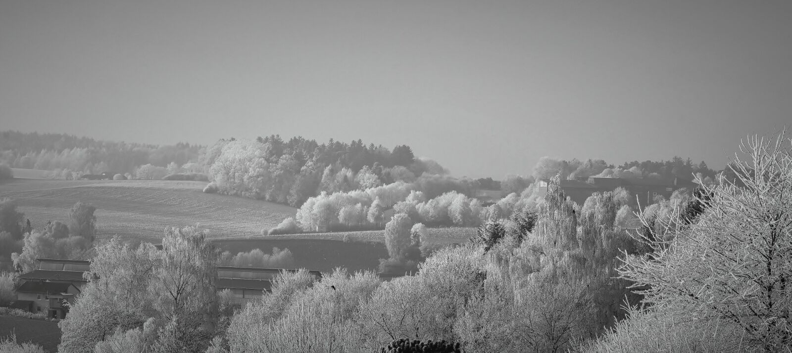 Nikon D7200 sample photo. Winter, snow, cold photography