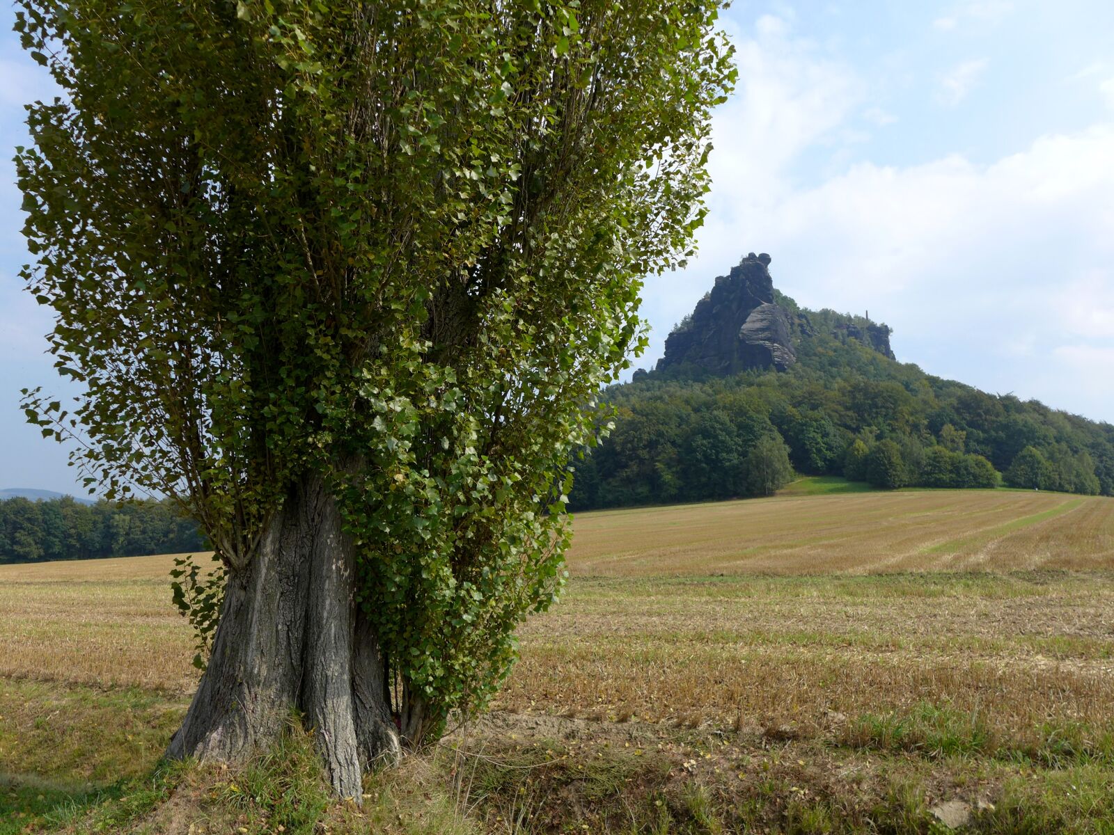 Panasonic Lumix DMC-LX7 sample photo. Saxon switzerland, elbe sandstone photography